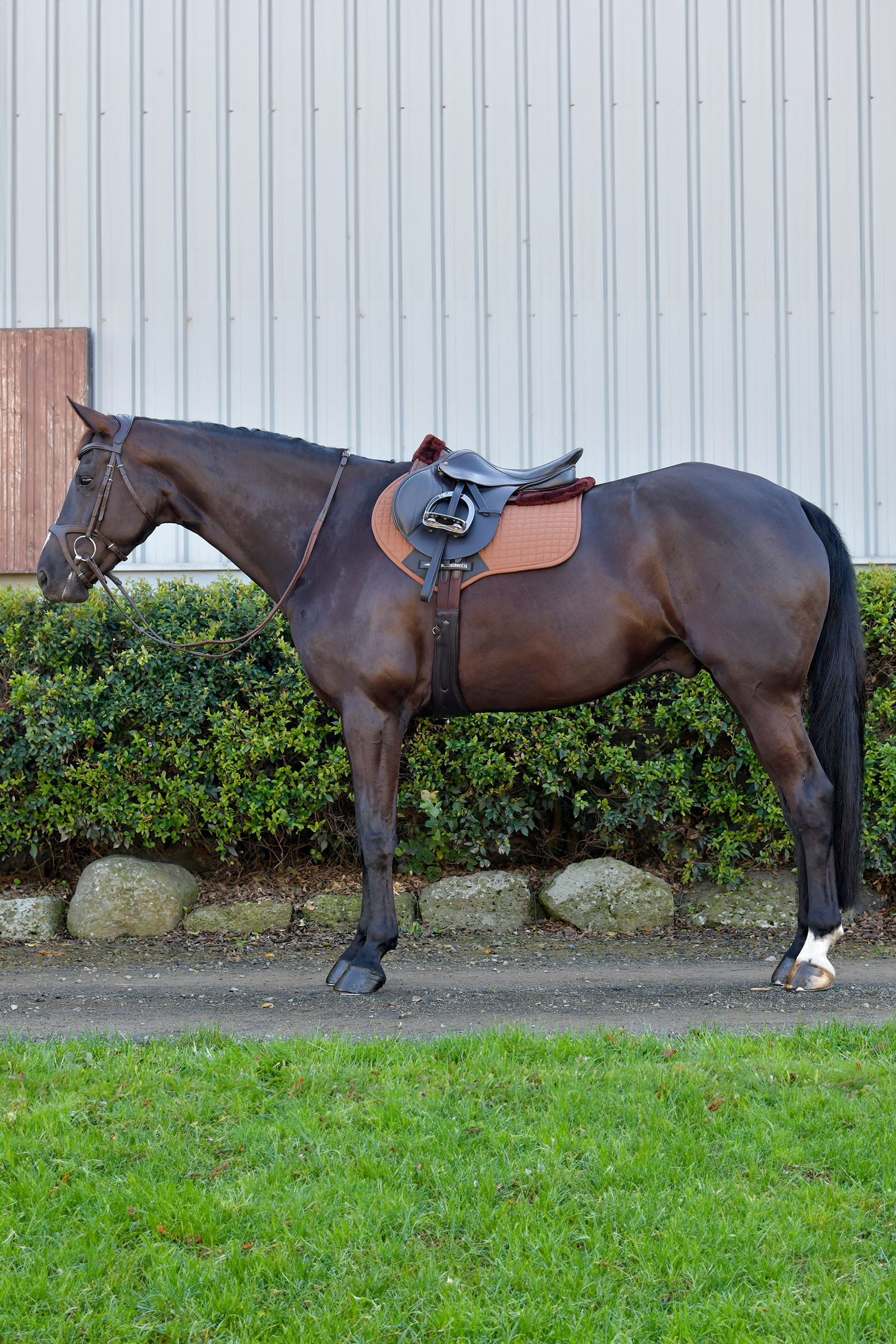 Weatherbeeta Prime Comfy Fleece Springschabracke