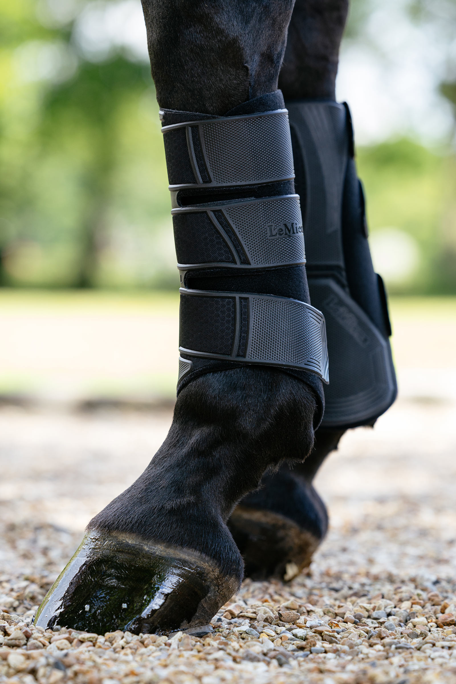 LeMieux Technical Dressurgamaschen