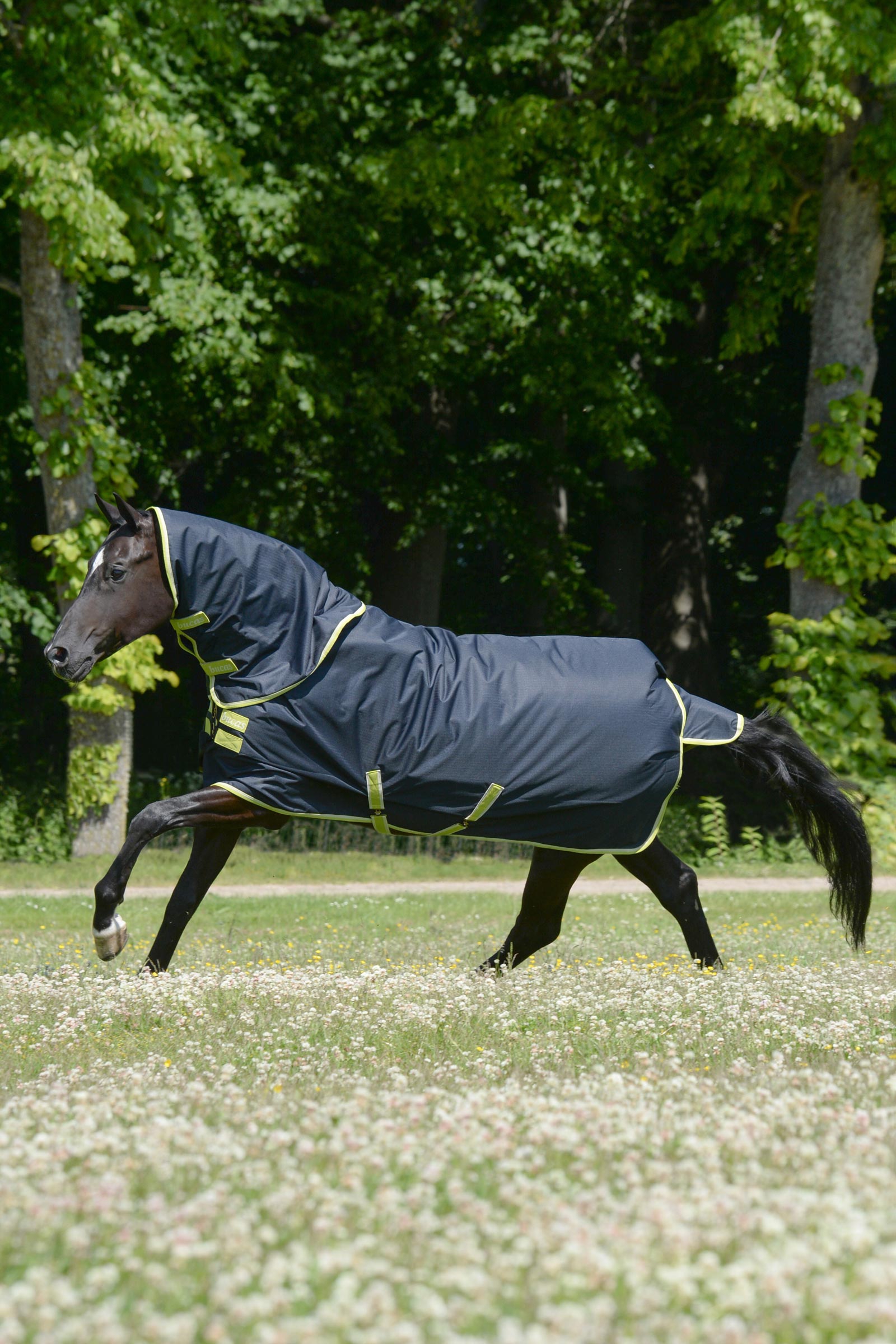 Bucas Oasis Weidedecke + Halsteil Set, 100g