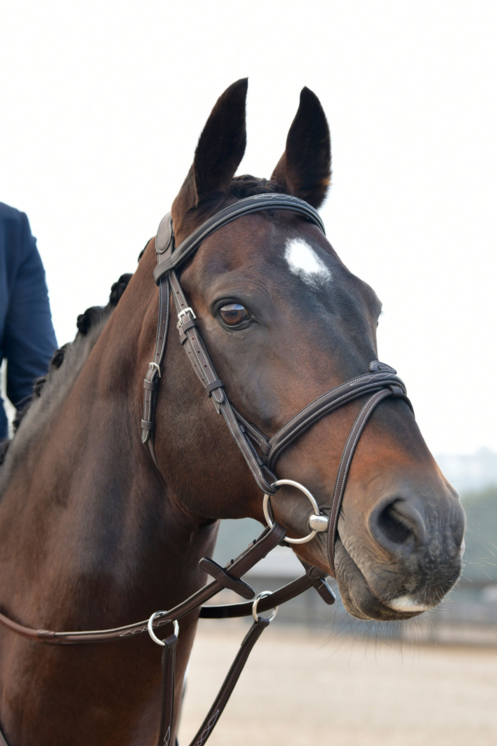 Collegiate Comfitec Opulux Fancy Stitch gepolsterte hannoversche Trense