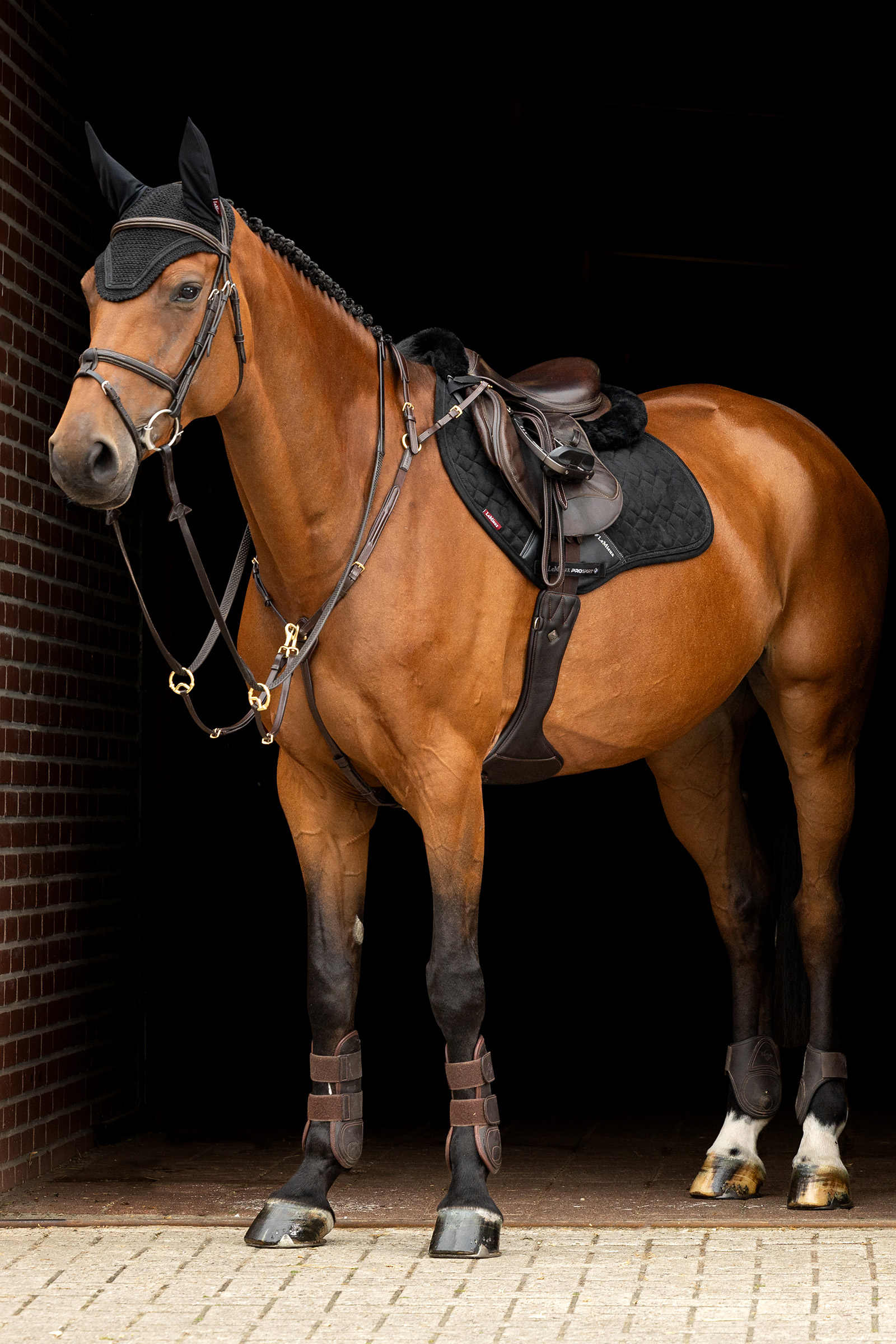 LeMieux Crystal Suede Close Contact Springschabracke