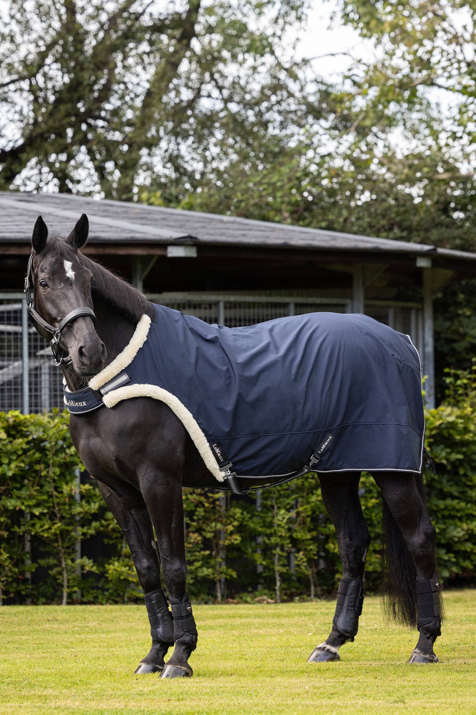 LeMieux F&uuml;hranlagendecke