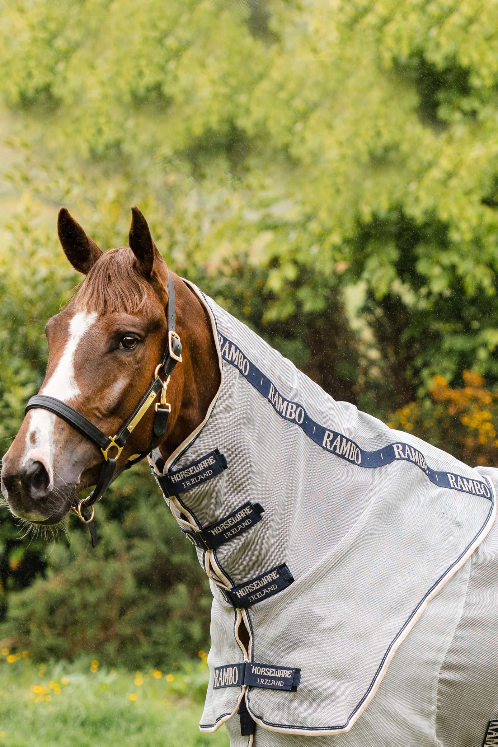Horseware Rambo Protector Halsteil