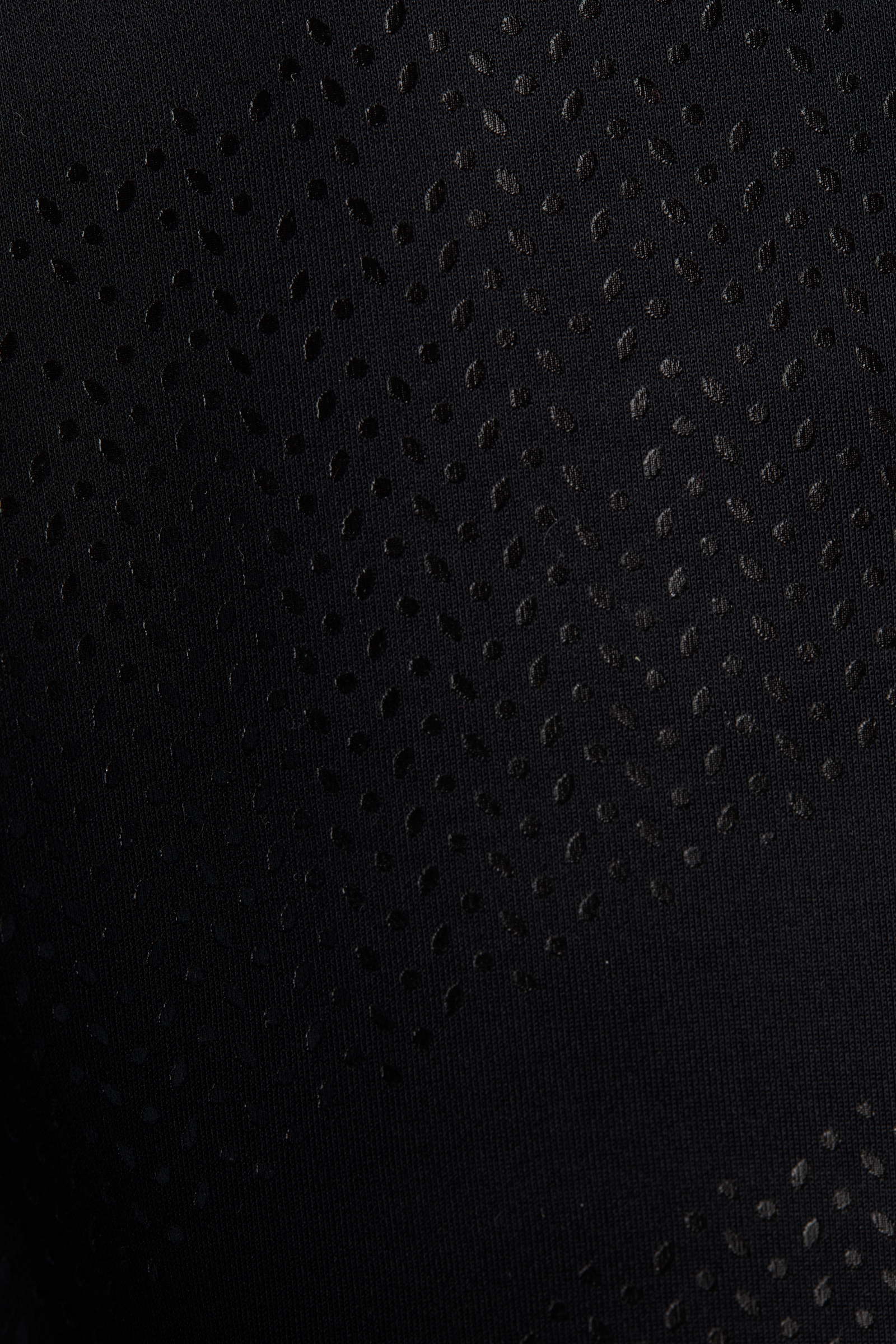 B Vertigo Caitlin Damen High Waist Reitleggings mit Vollgrip