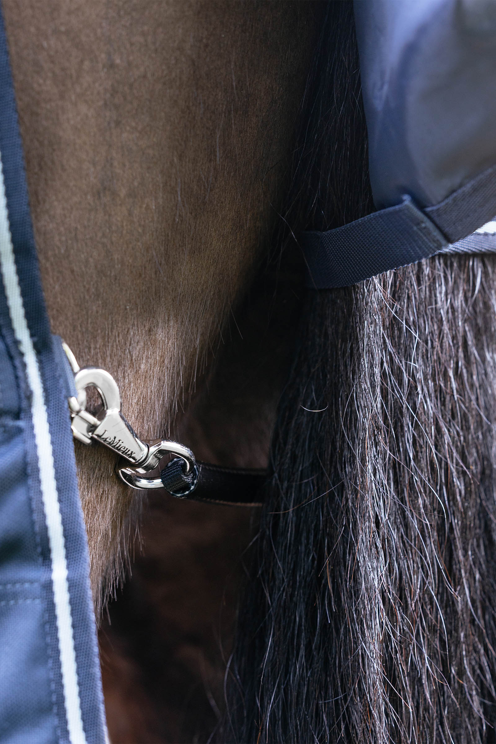 LeMieux Arika Storm-Tek Weidedecke mit abnehmbarem Halsst&uuml;ck, 200 g