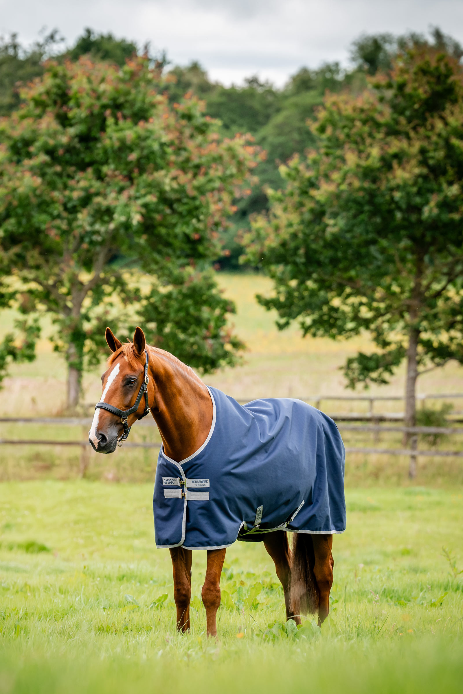 Witney Navy Horseware Amigo Ripstop Weidedecke 900D, 0g