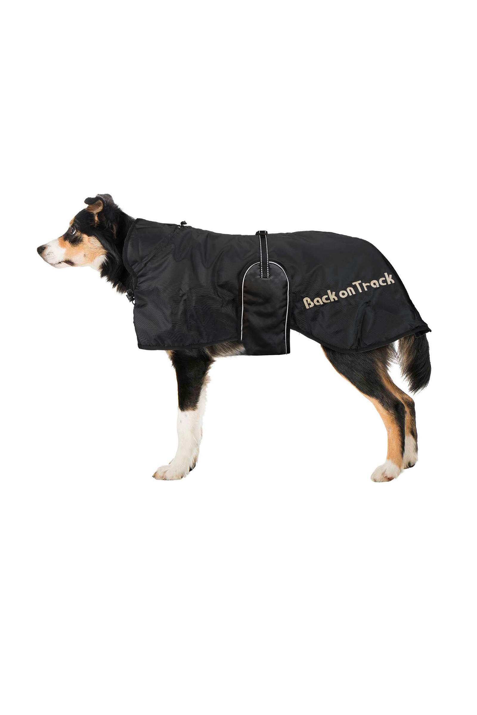 Back on Track Hundemantel (43-59)