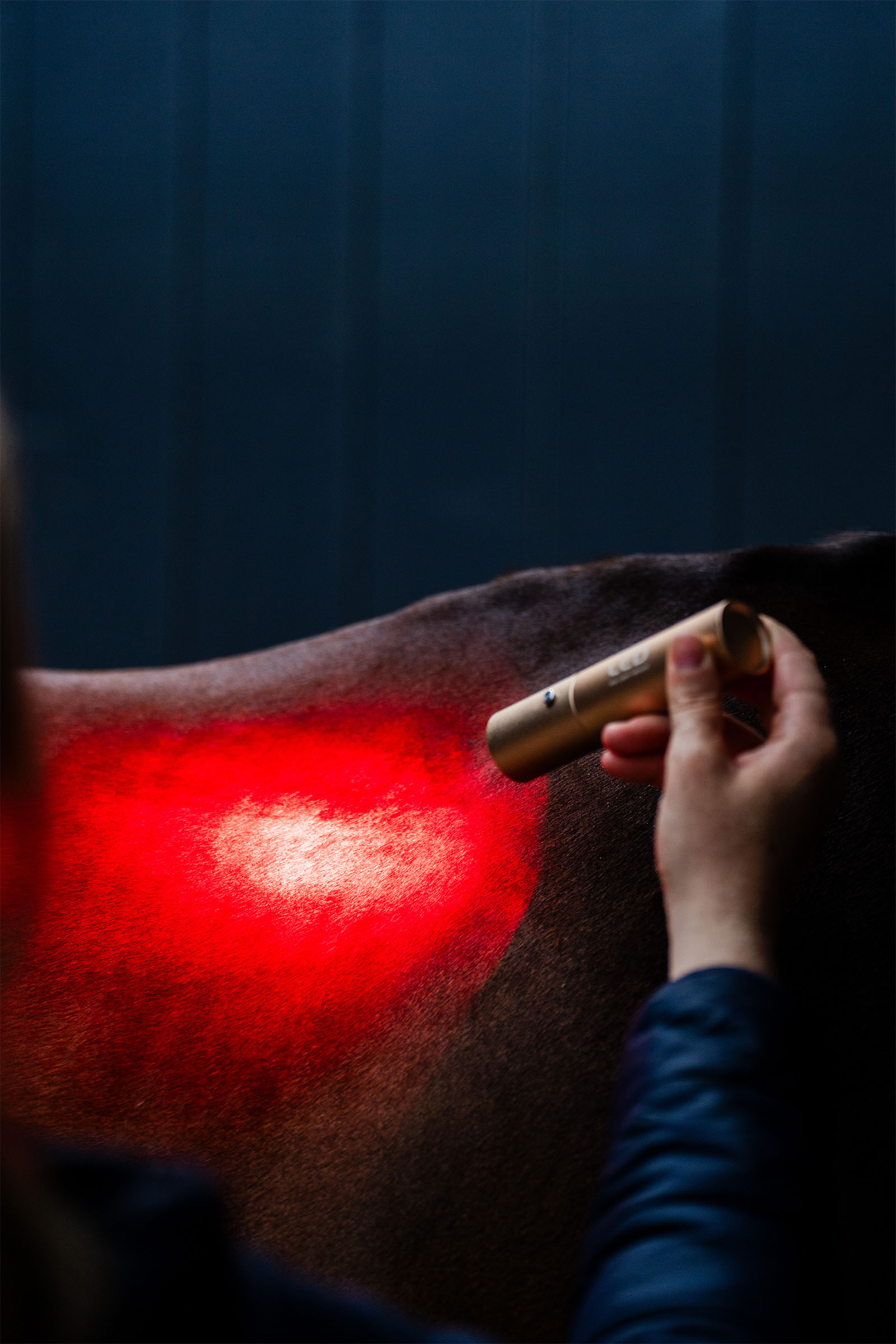 Horseware LED-Rotlicht-Therapie Stab