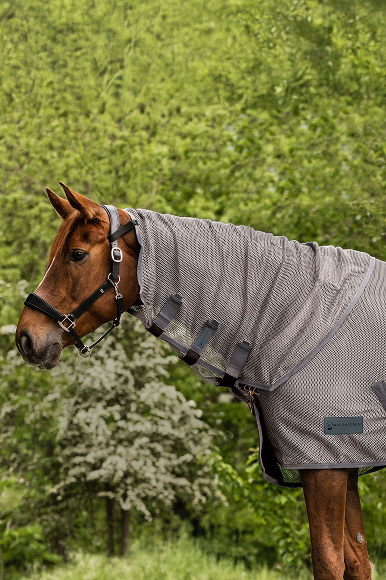 Grey Waldhausen Comfort Fliegenhalsteil