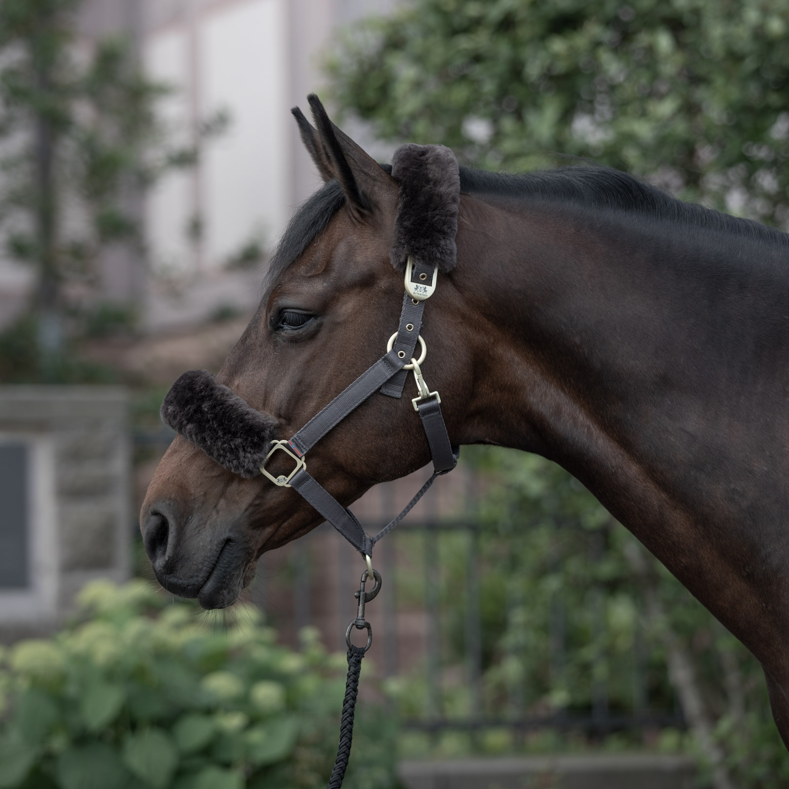 B Vertigo Laurier Halfter mit Lammfell