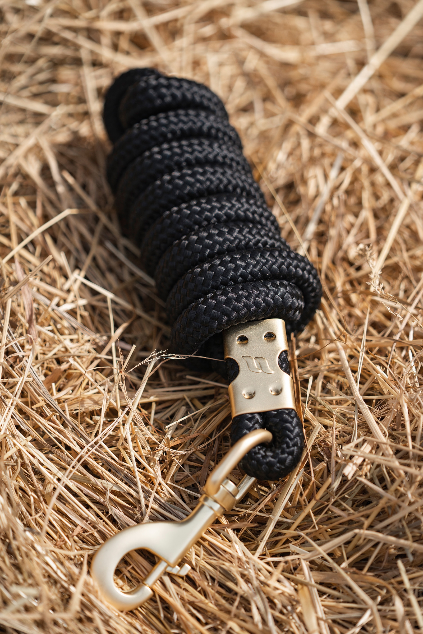 Back on Track Ace Führstrick