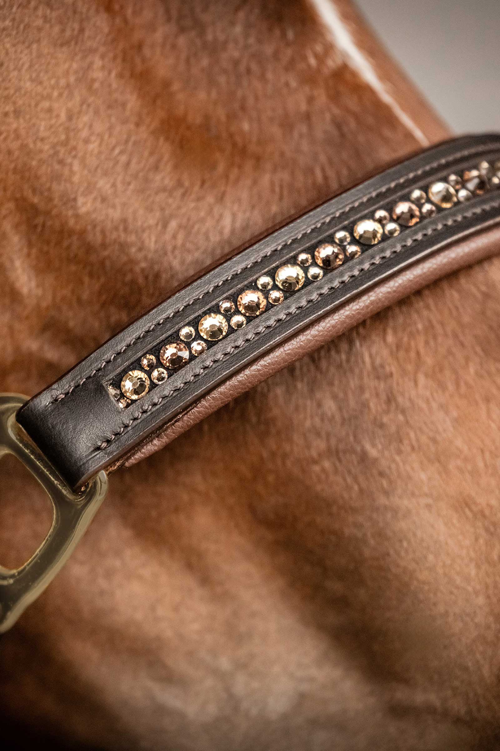 Waldhausen X-Line Crystal Lederhalfter