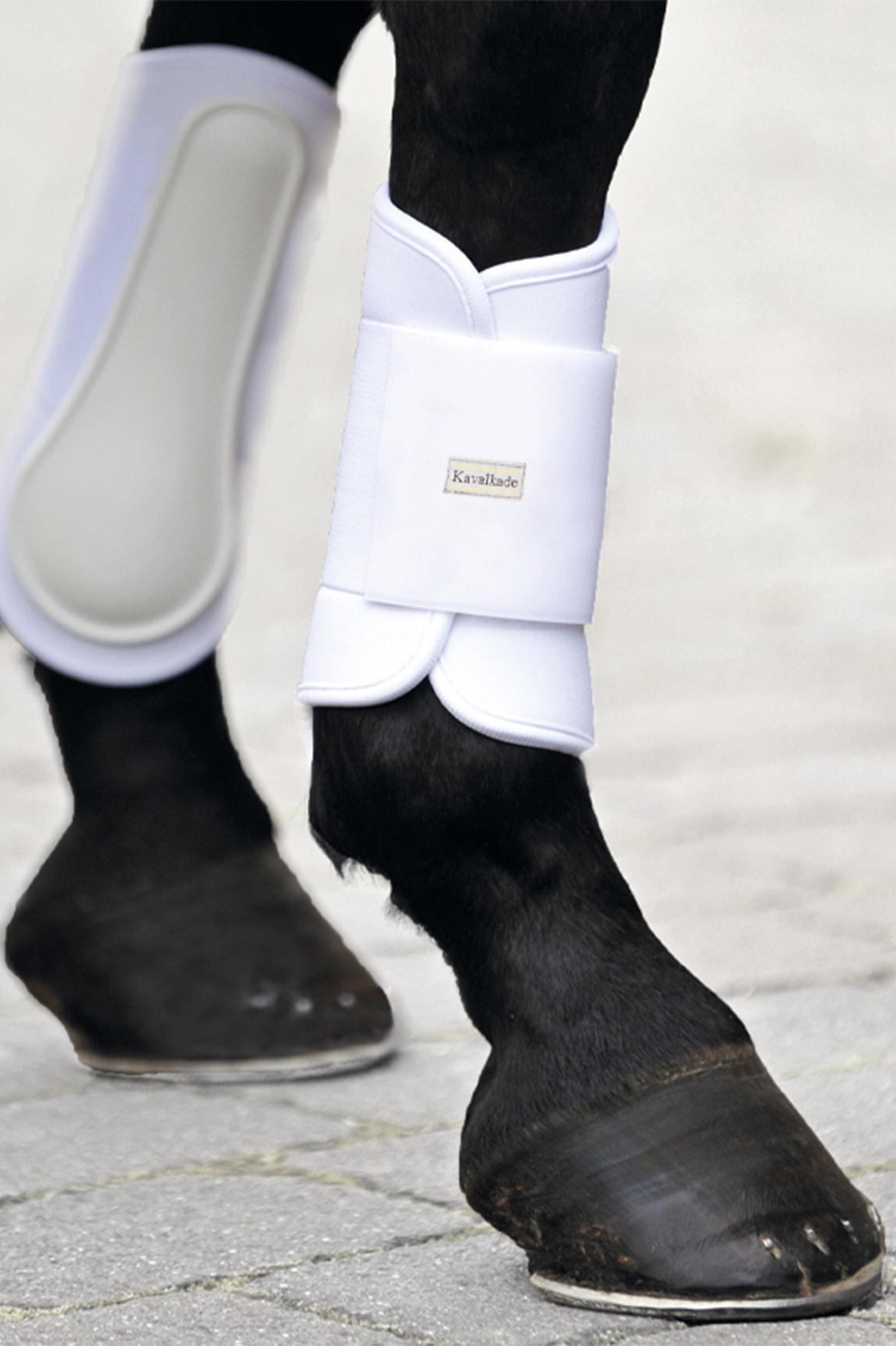 WH/AB Kavalkade KavalPren Softy Gamaschen, vorne