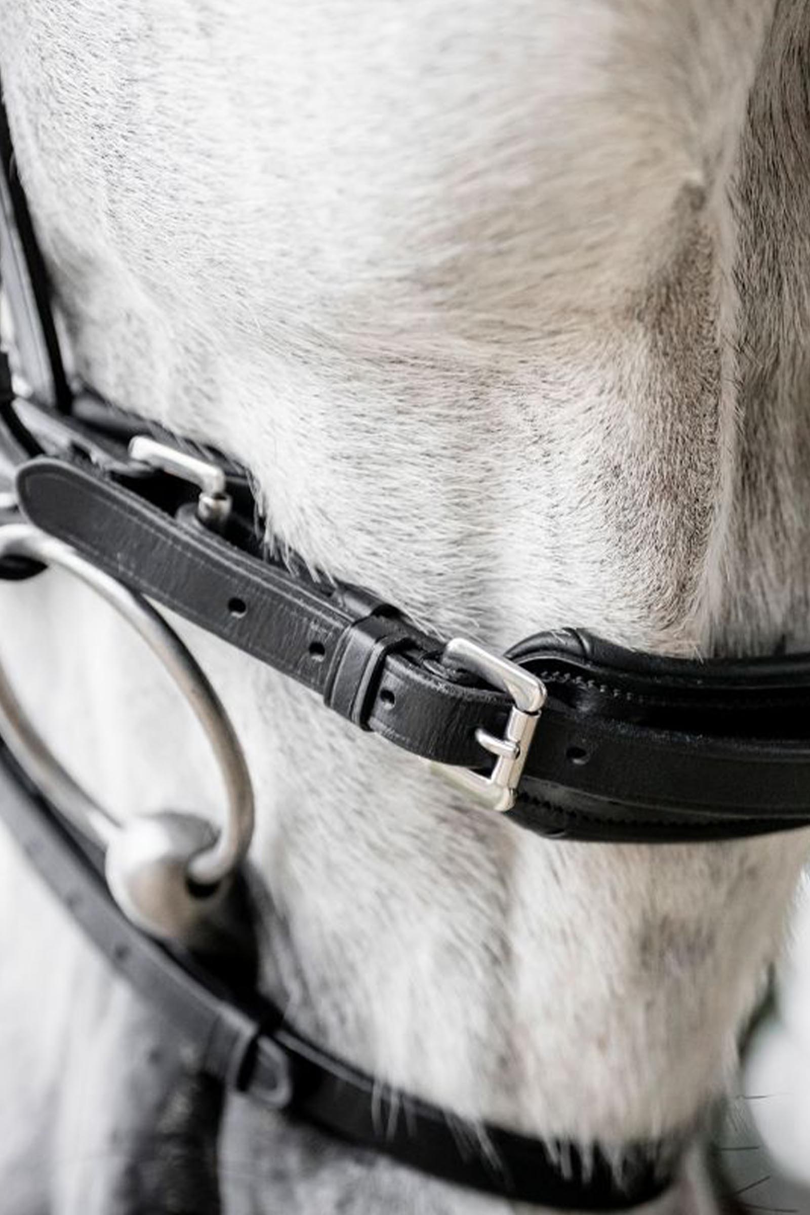 Horseware Diamante Trense mit kombiniertem Reithalfter