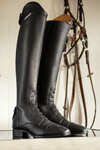 Ariat Palisade Damen Reitstiefel