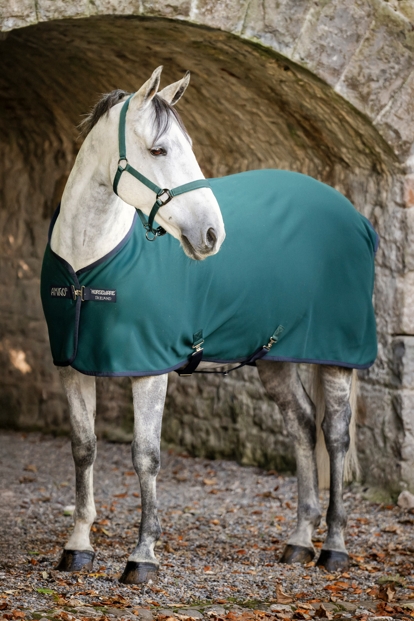 Horseware Amigo Jersey Cooler Abschwitzdecke