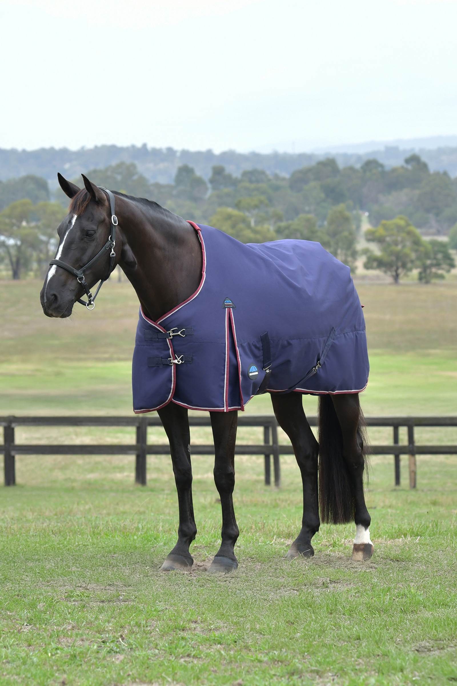 Navy/Burgundy Weatherbeeta ComFiTec Essential Turnout Standard Neck 0G