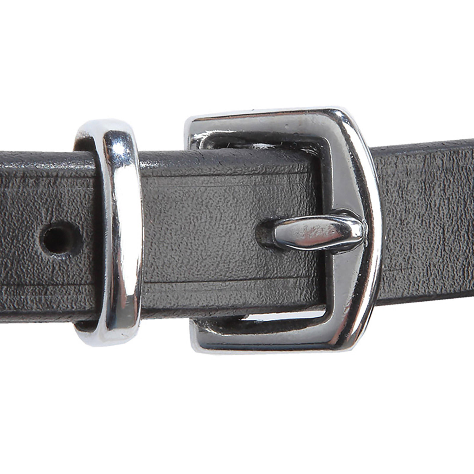 Kavalkade Trense Isabella, hann. RH, PII