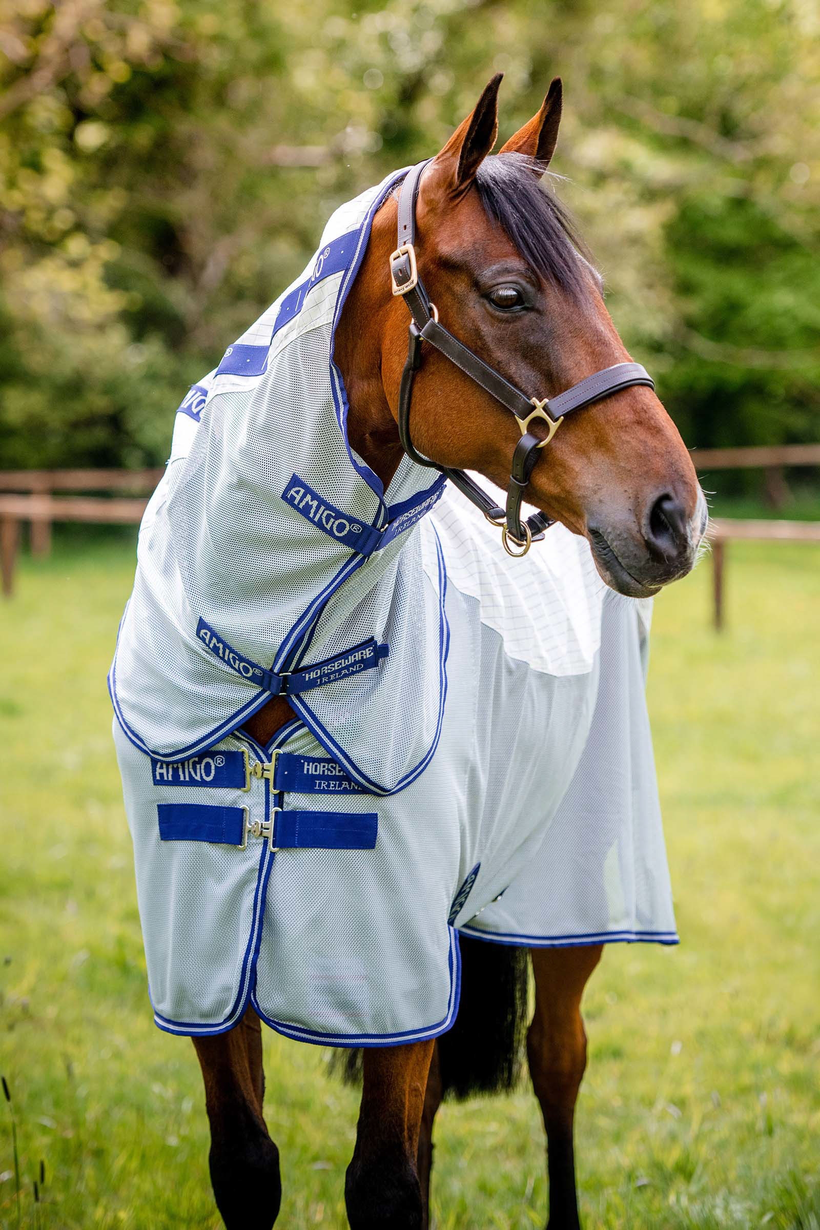 Horseware Amigo Airflow Fliegendecke mit abnehmbarem Halsteil