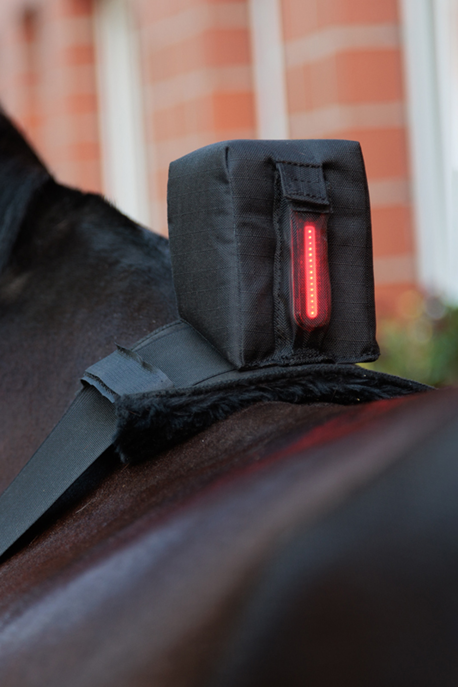 Kavalkade Horselight Bauchgurt mit rotem R&uuml;cklicht