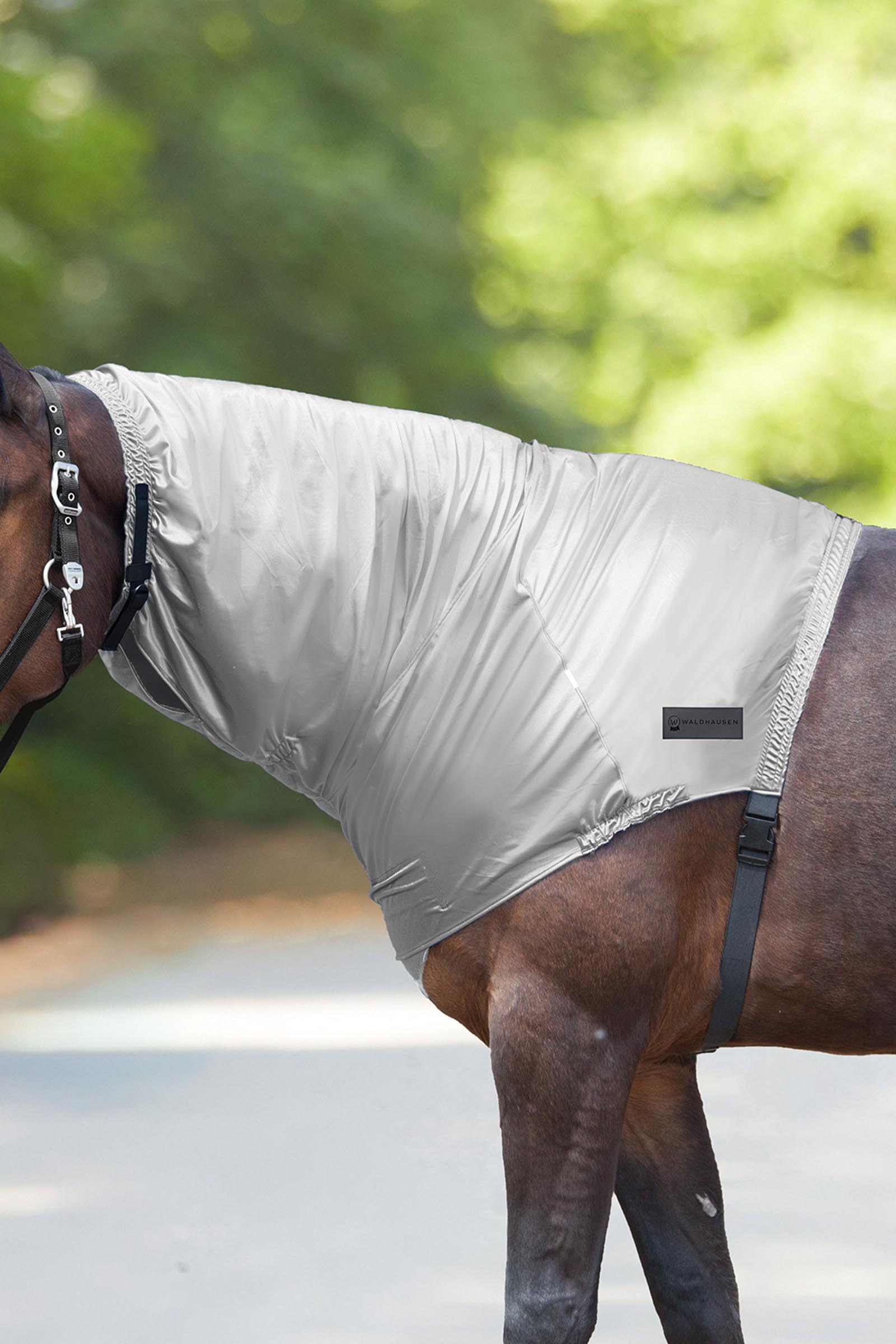 Silver Grey Waldhausen Ekzem-Halsteil