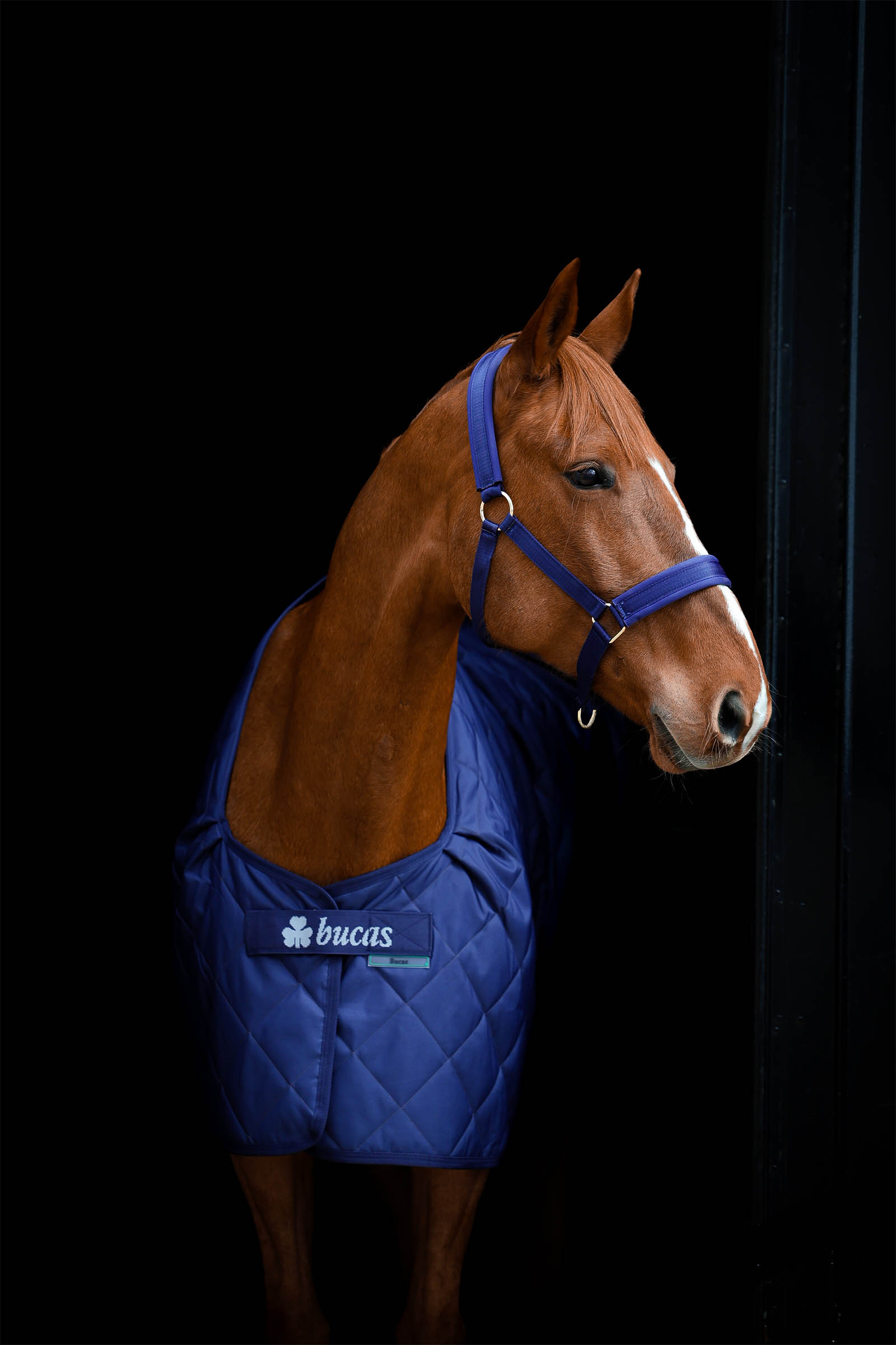 Bucas Cosy Stable Rug