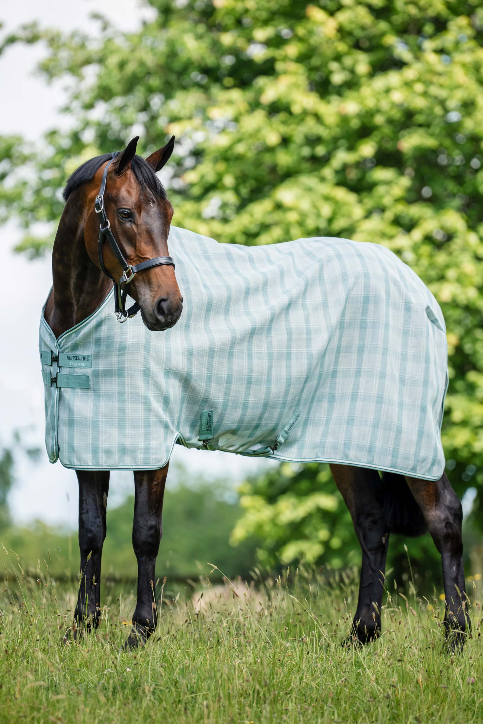 Horseware Newmarket Fliegendecke mit UV-Schutz