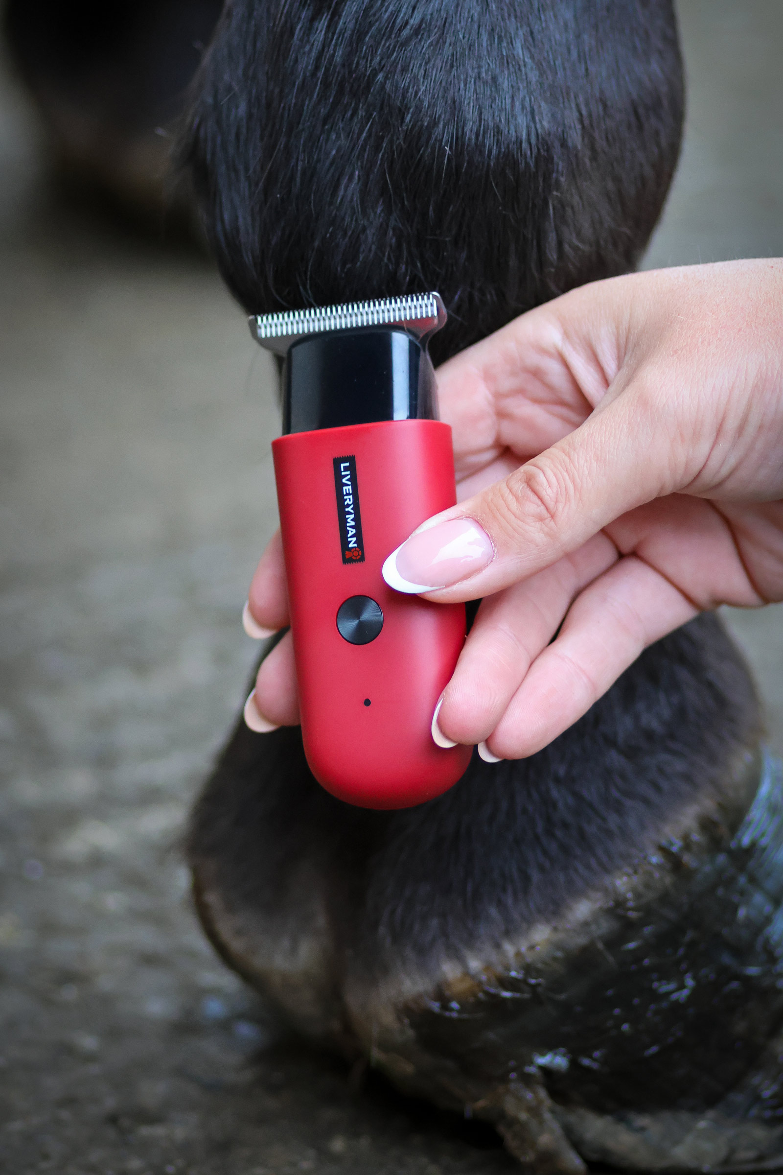 Liveryman Robin Trimmer f&uuml;r Pferde