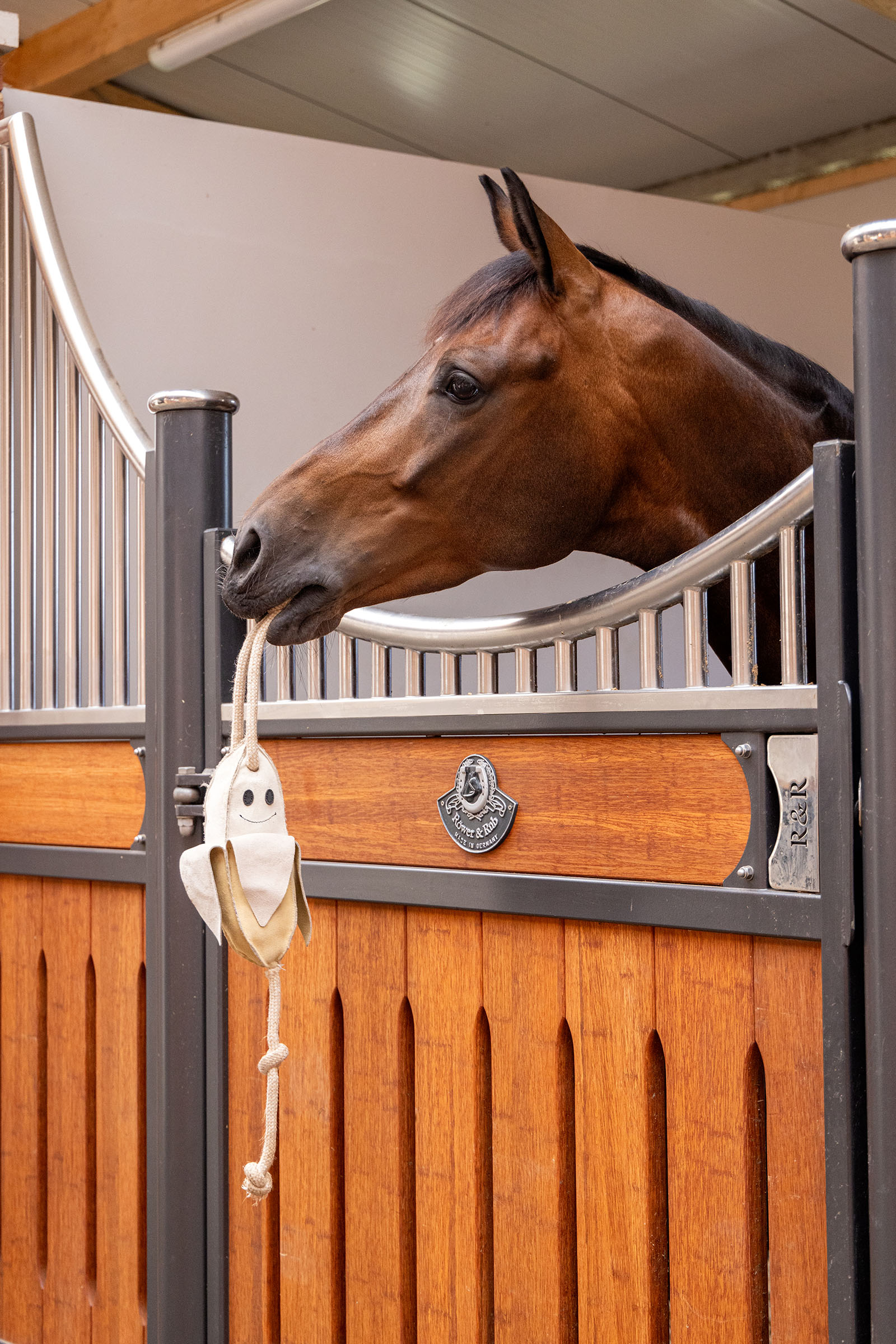 LeMieux Pferdespielzeug