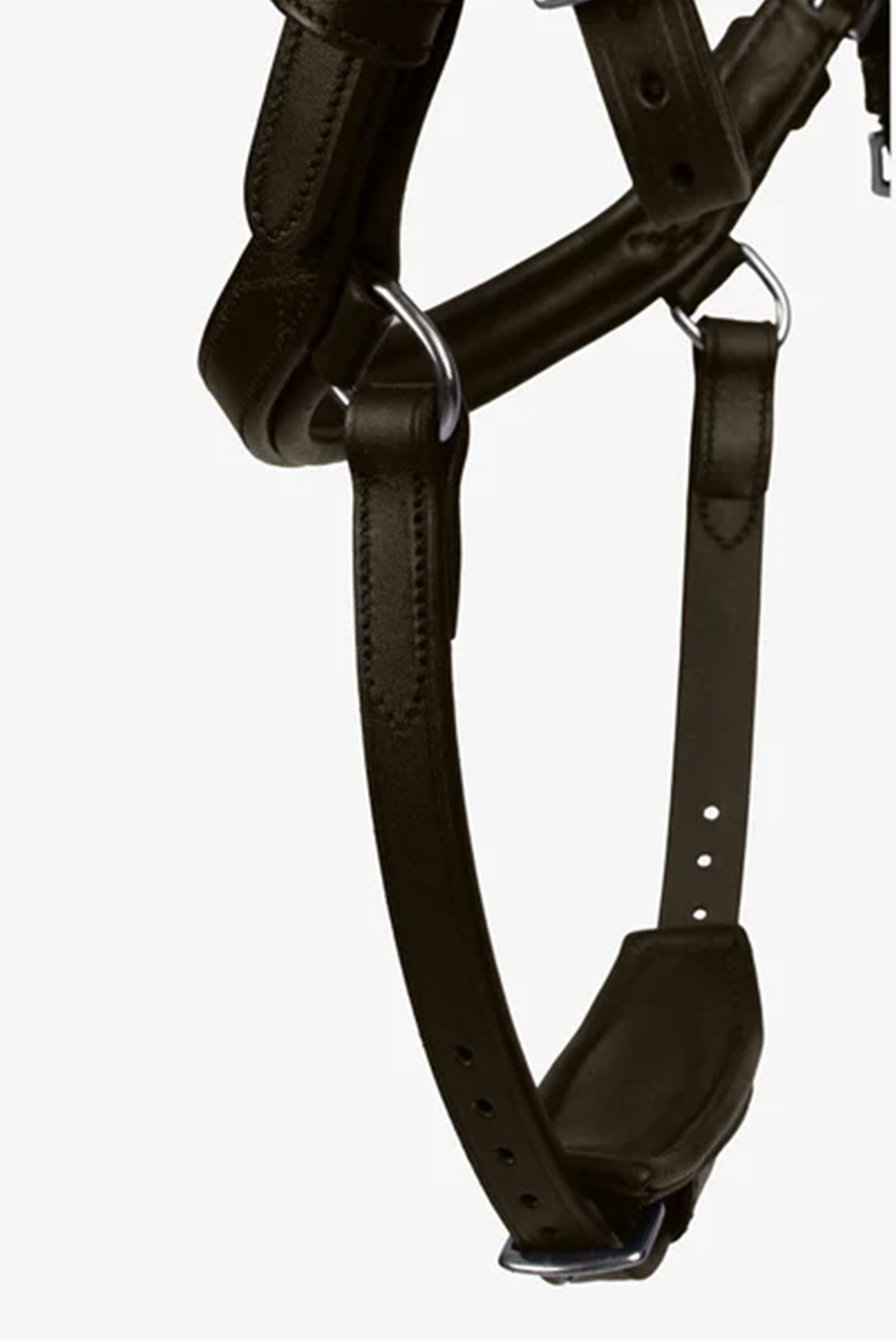 PS of Sweden Trense King Edward