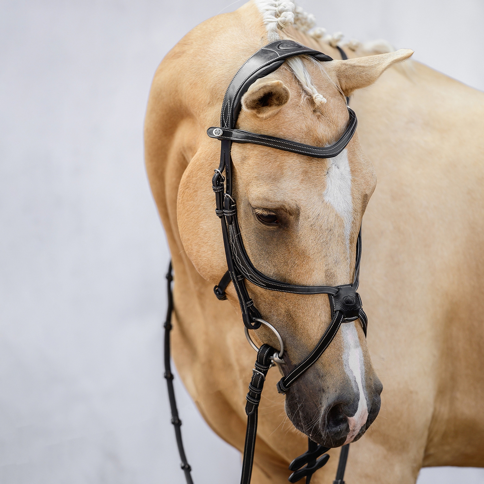 PS of Sweden Athens Mexikanische Trense