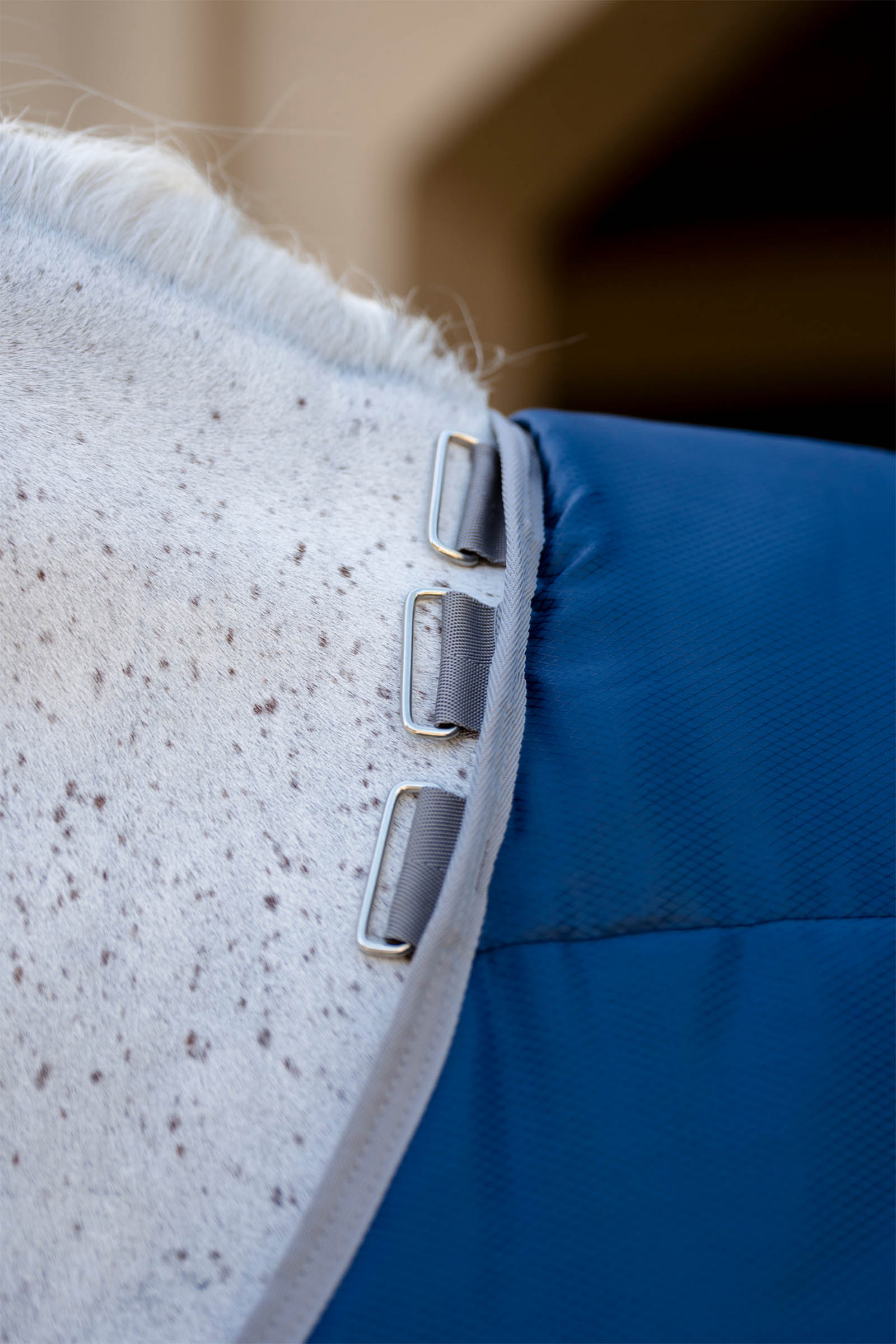 Horseware Amigo Ripstop Insulator Plus Stalldecke, 350 g