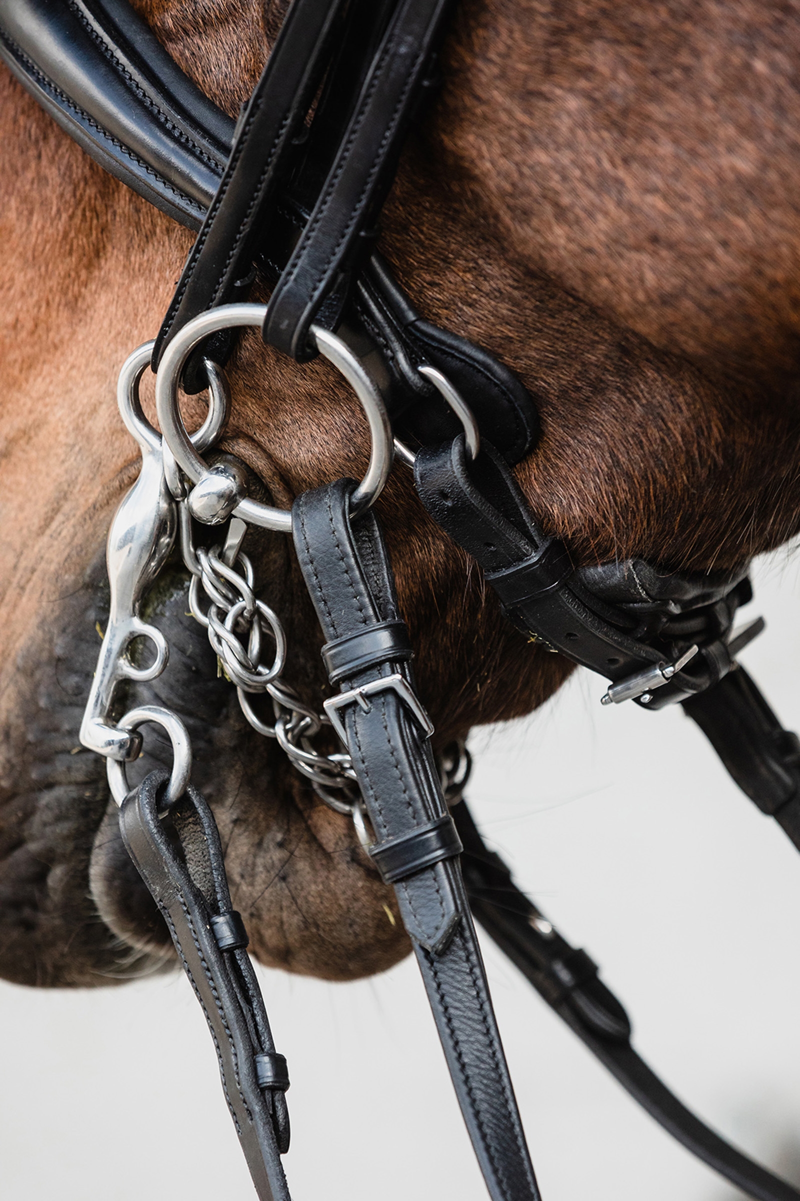 Schockemöhle Sports Milton Anatomische Kandare