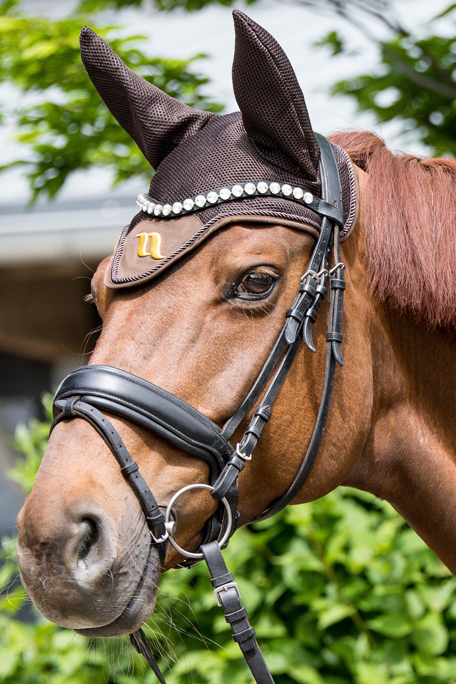 Back on Track Airflow Fliegenhaube