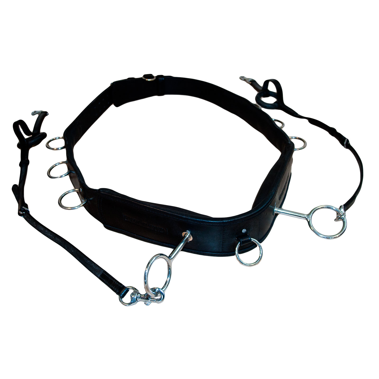 Karlslund Longiergurt