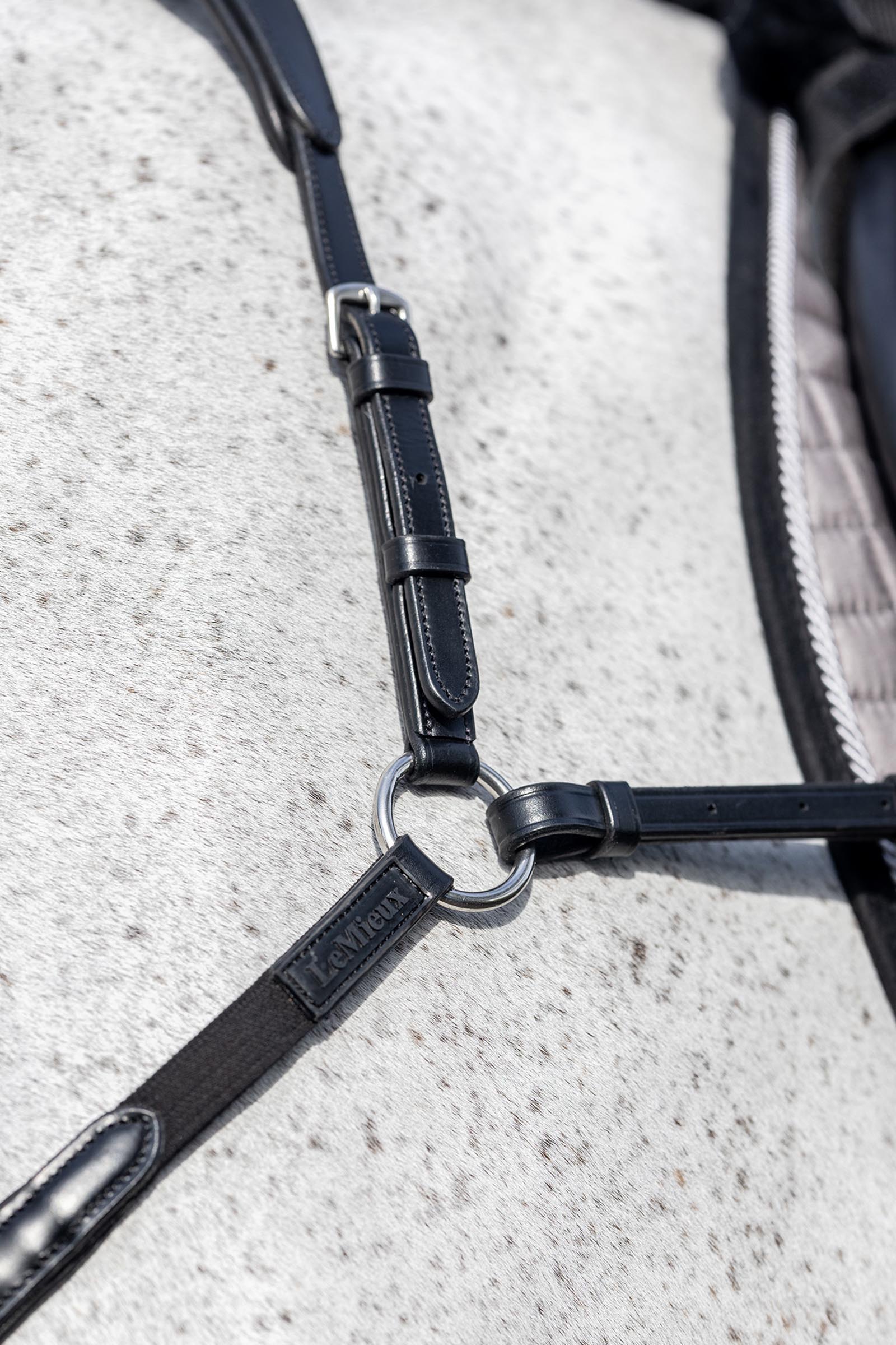 LeMieux Vorderzeug mit abnehmbarem Martingal