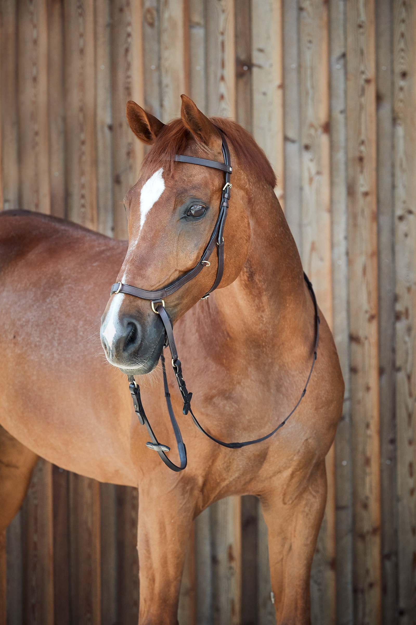 Horze Orlando Kombinierte Anatomische Gebisslose Trense