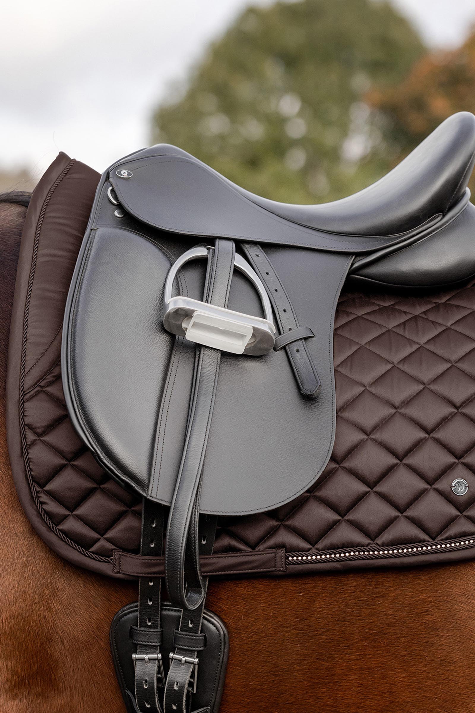 Waldhausen Nepal Dressur Schabracke