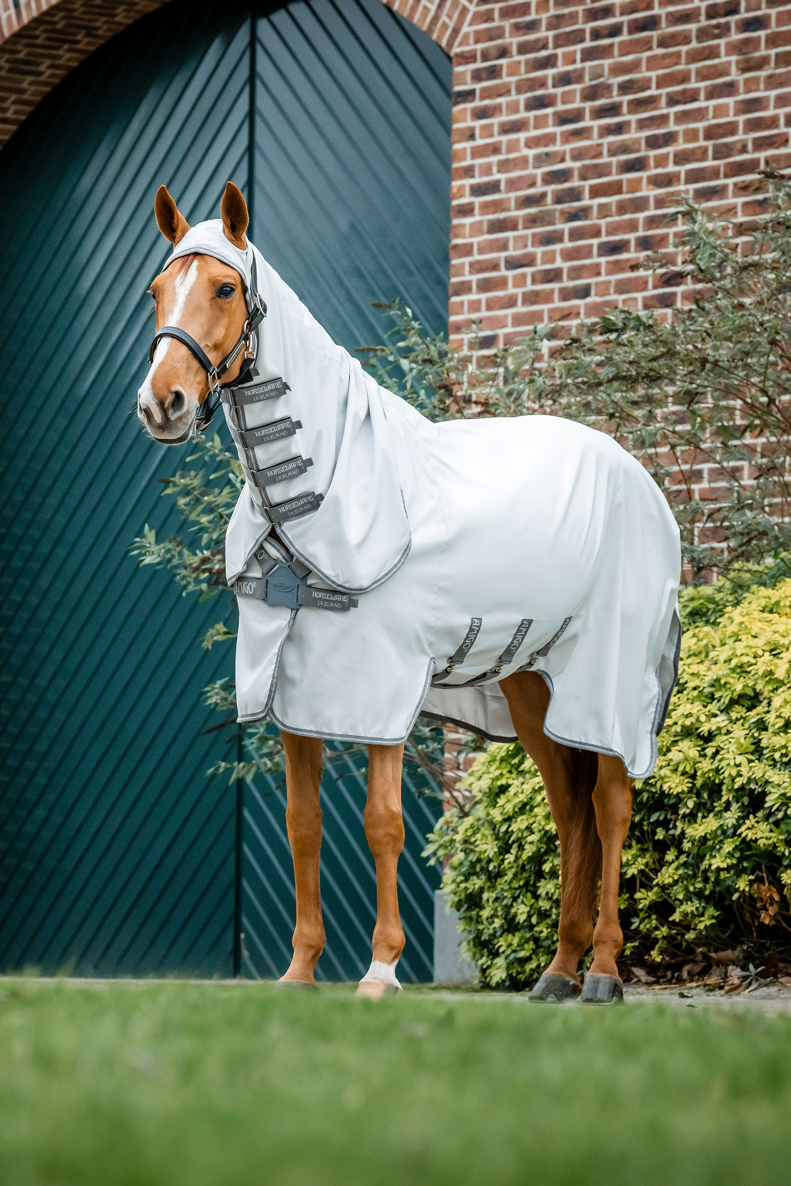 Horseware Amigo Ripstop Fliegendecke
