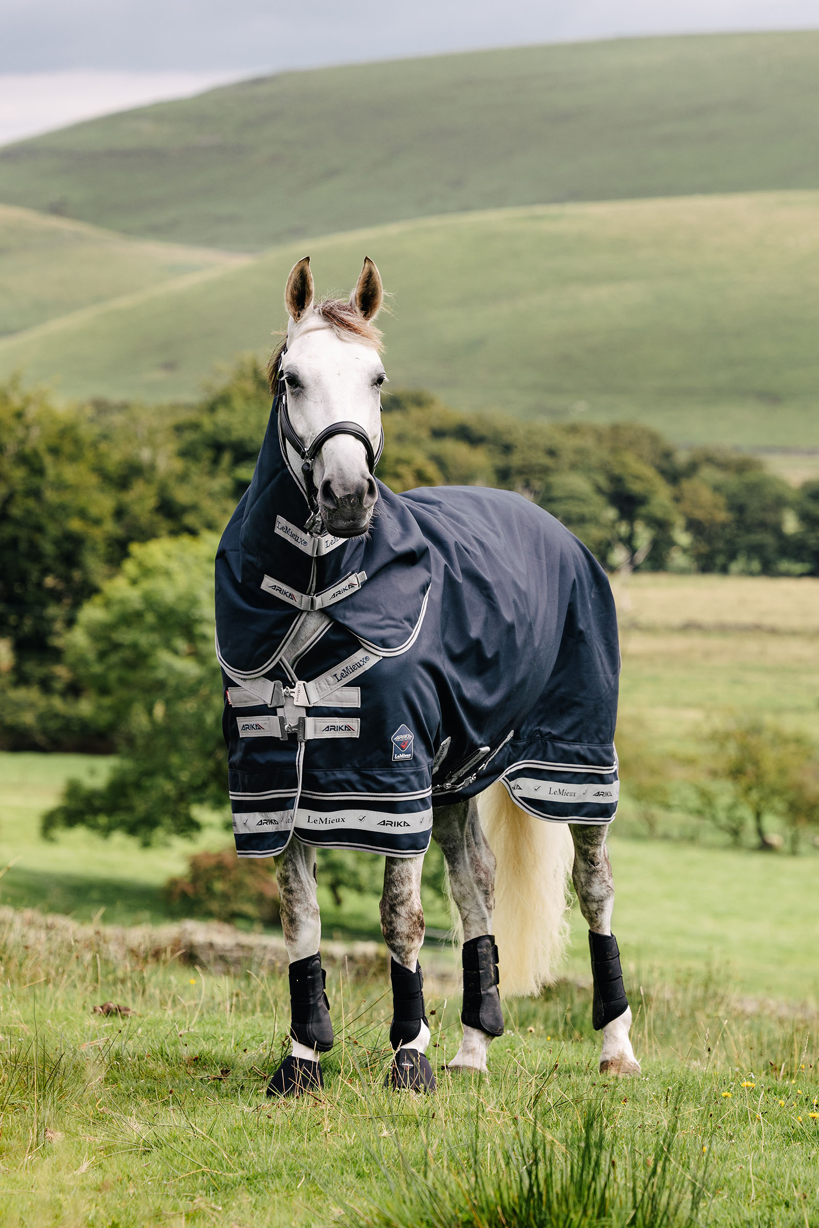 LeMieux Arika Storm-Tek Decke 50g