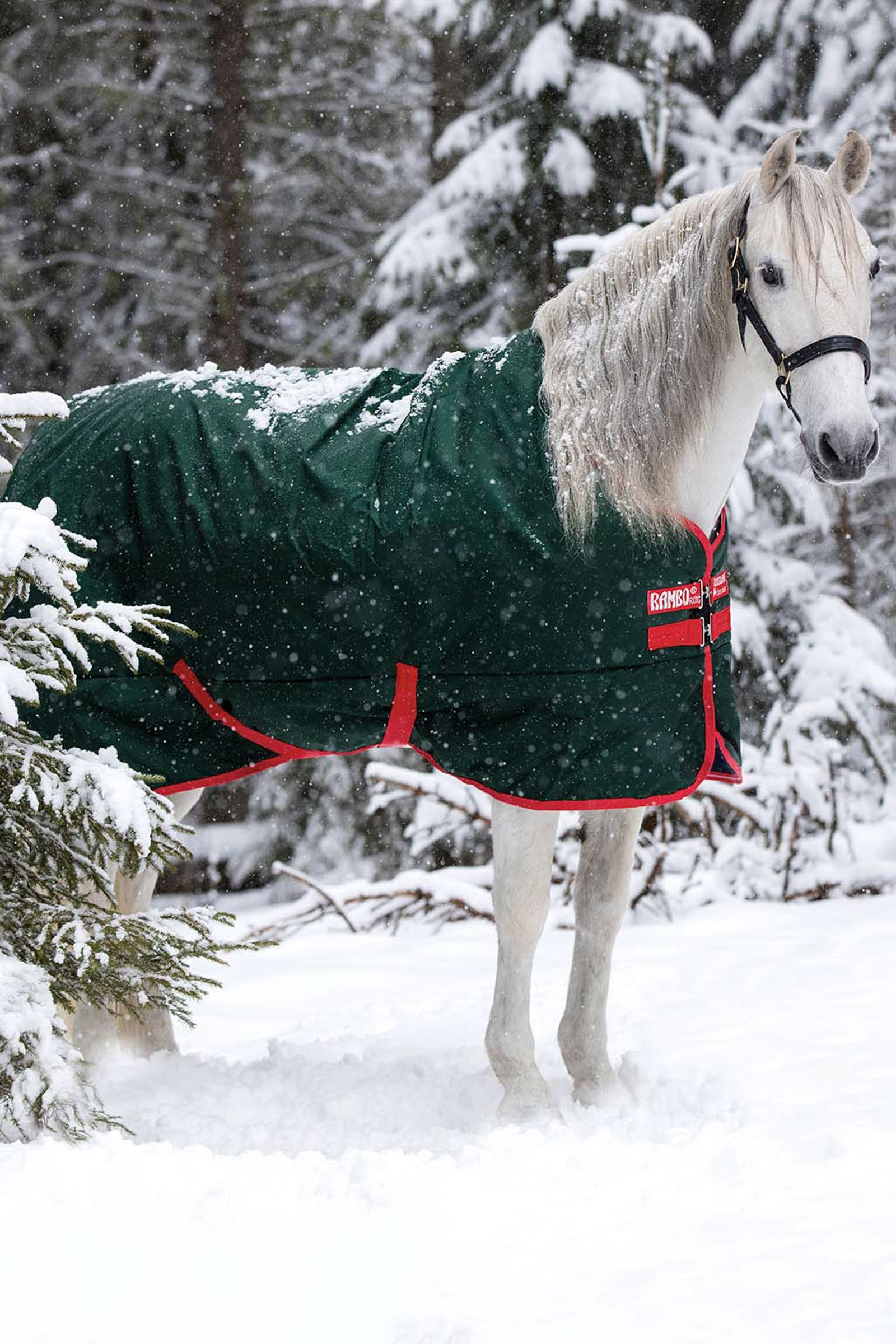 Horseware Rambo Original Weidedecke, 400g