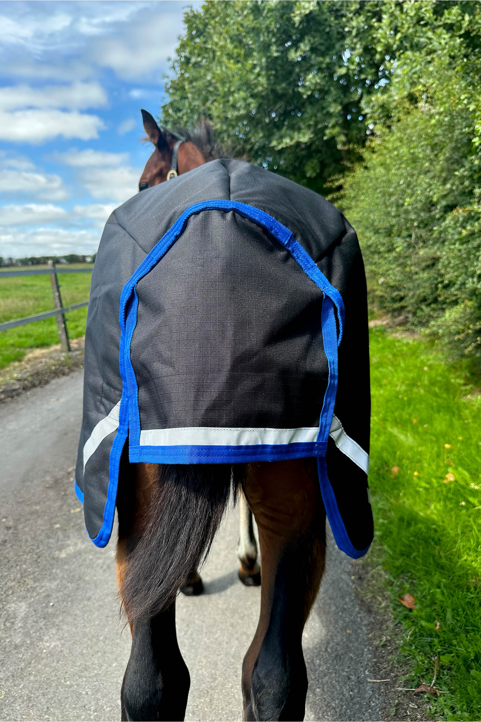 Horseware Amigo Ripstop 900D Weidedecke f&uuml;r Fohlen 200g