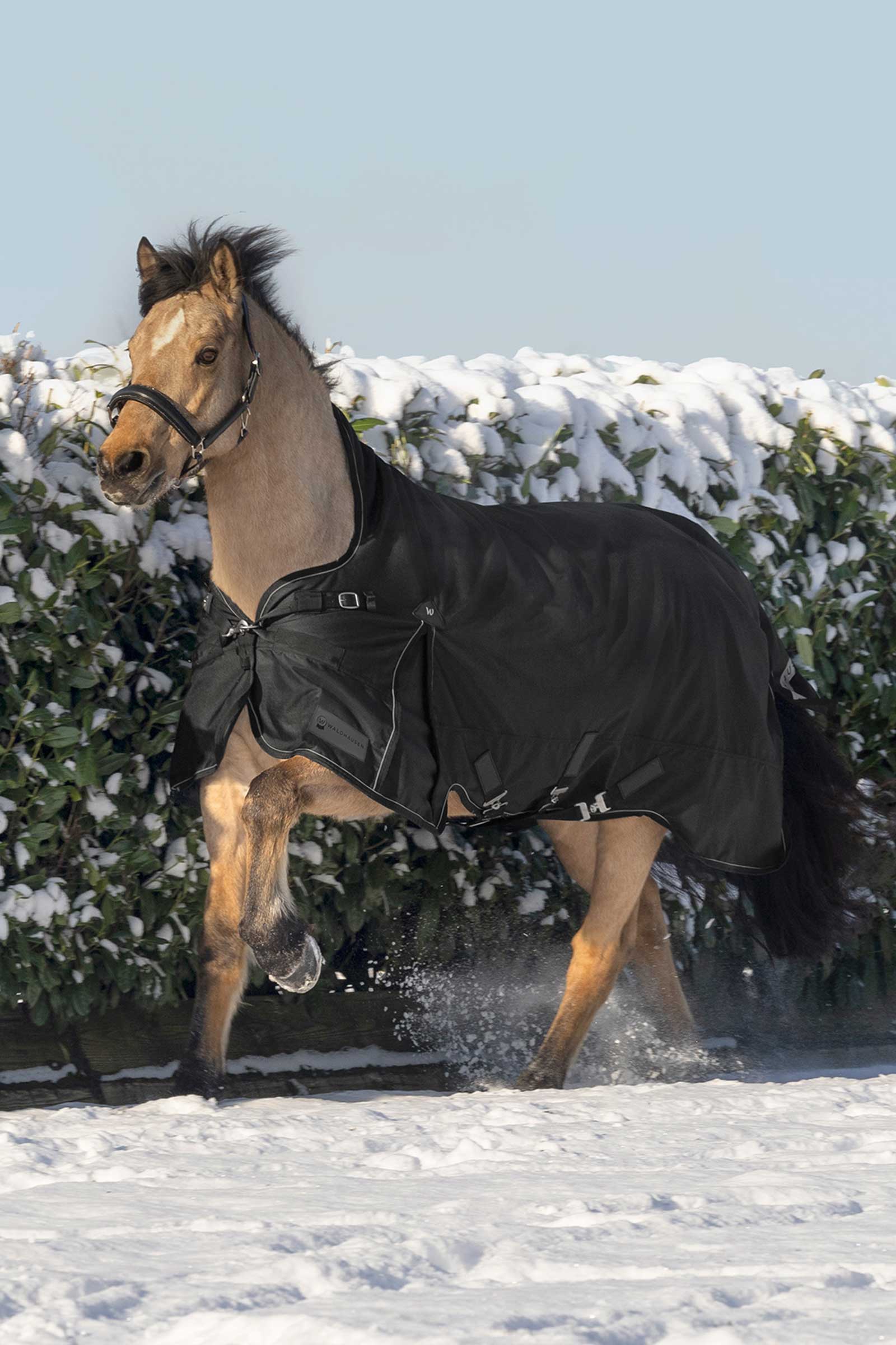 Waldhausen Scandic Weidedecke mit hohem Hals, 200 g