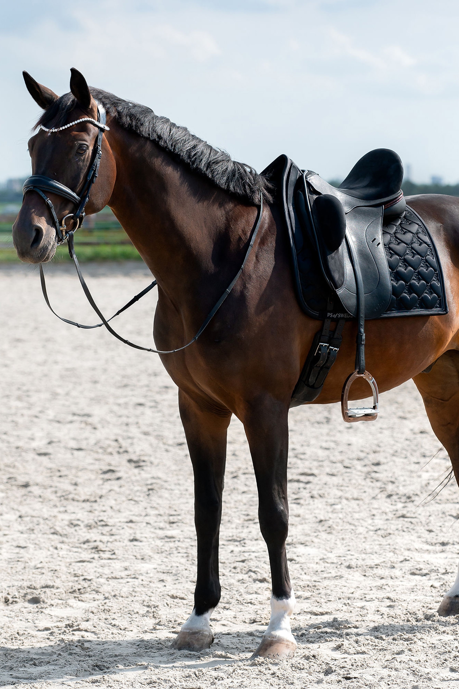 PS of Sweden Herz Dressurschabracke