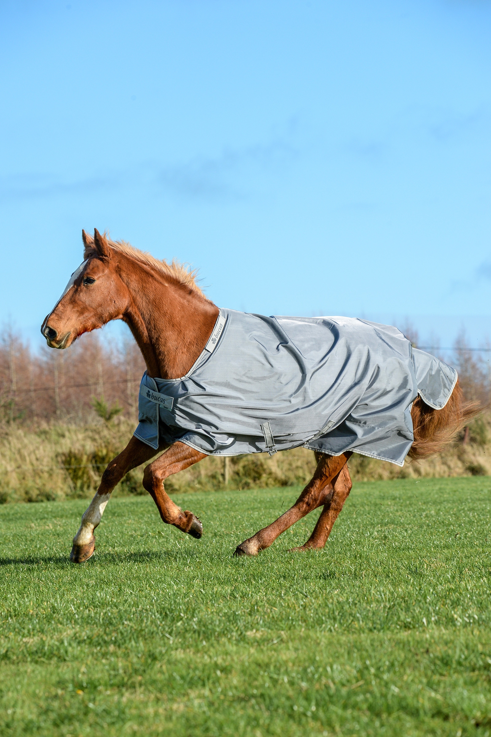 Bucas Smartex Extra Decke, 300g