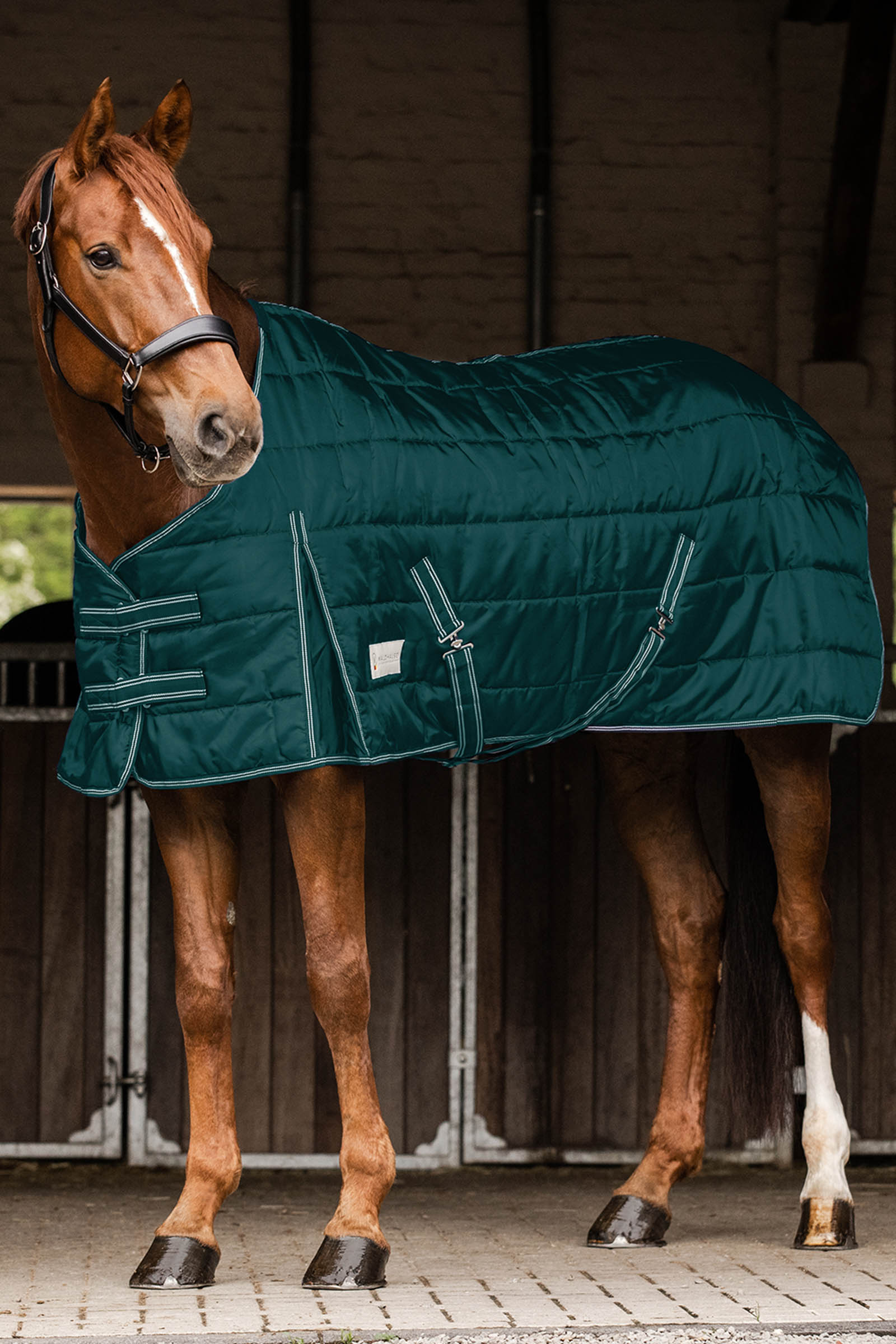 Waldhausen Stable Rug Economic 100 g