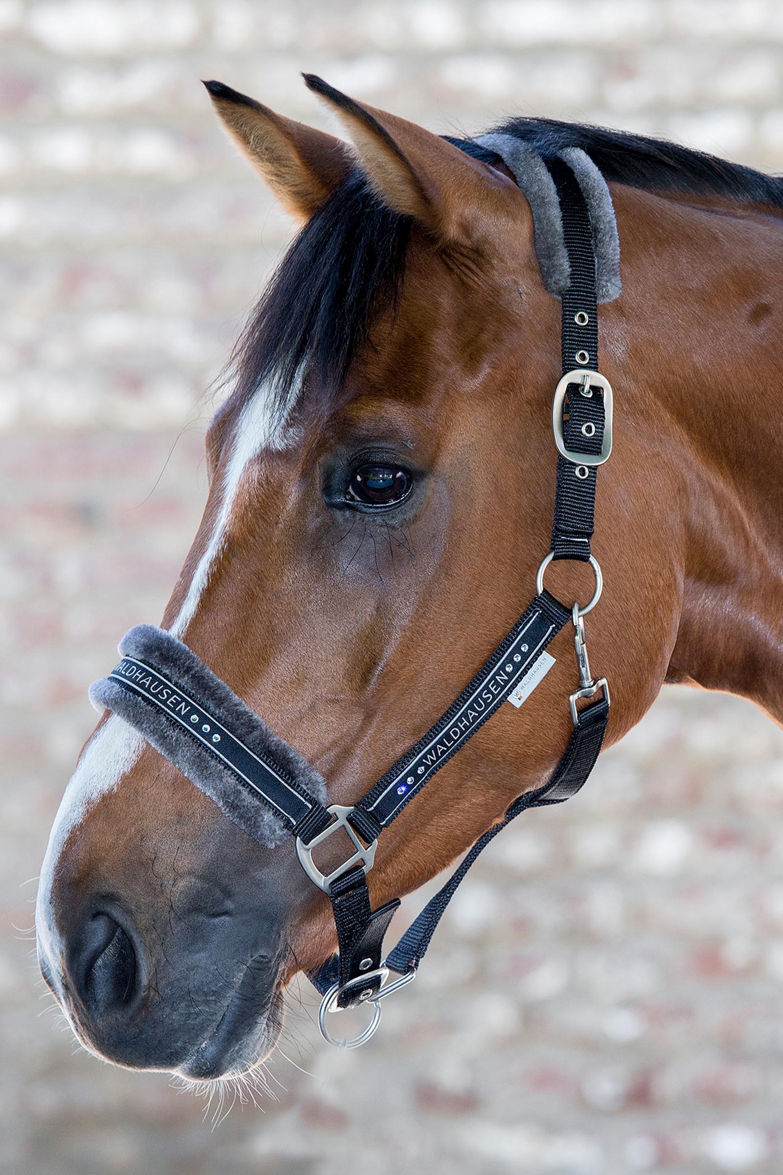 Waldhausen Elegant Halfter