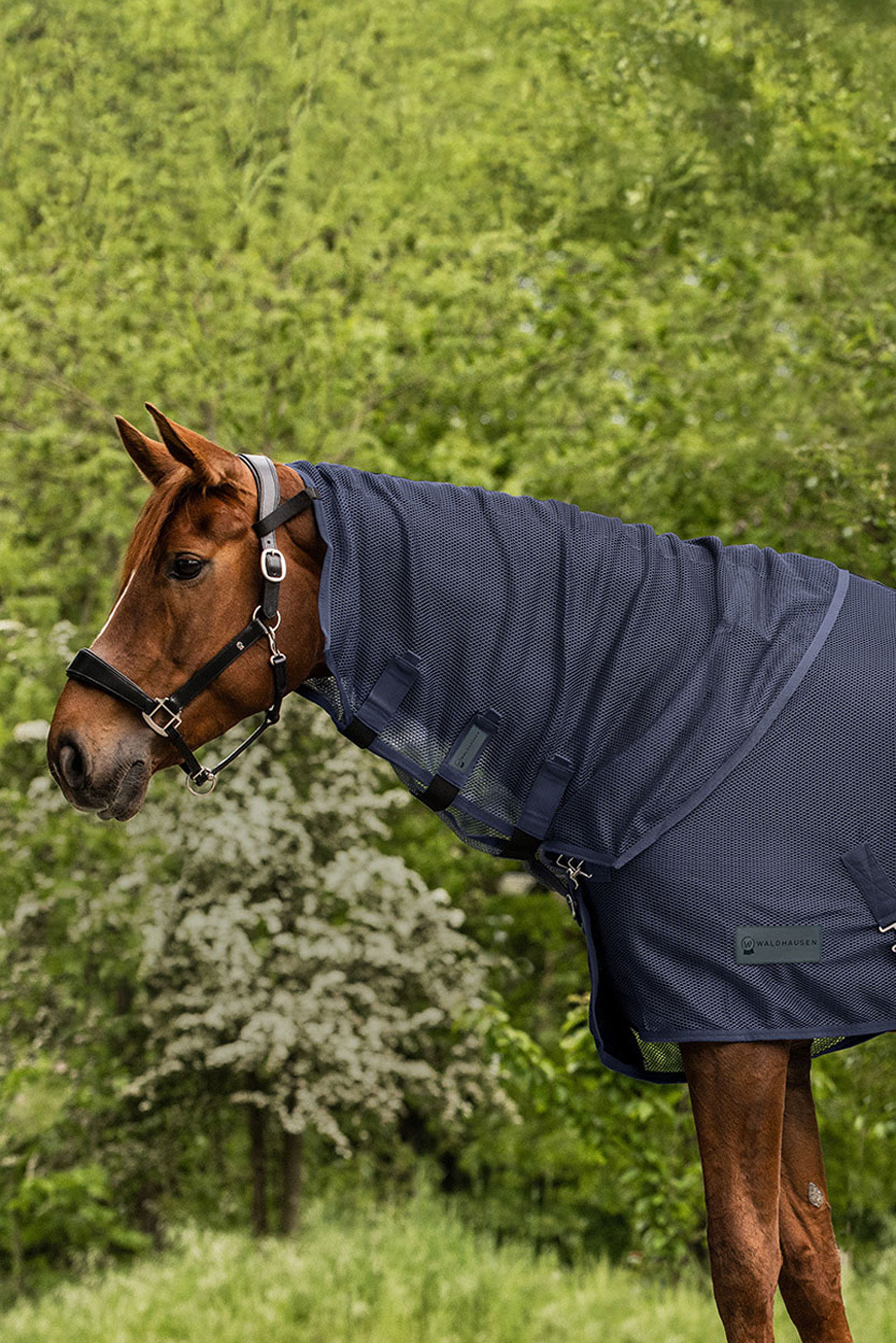 Waldhausen Comfort Fliegenhalsteil