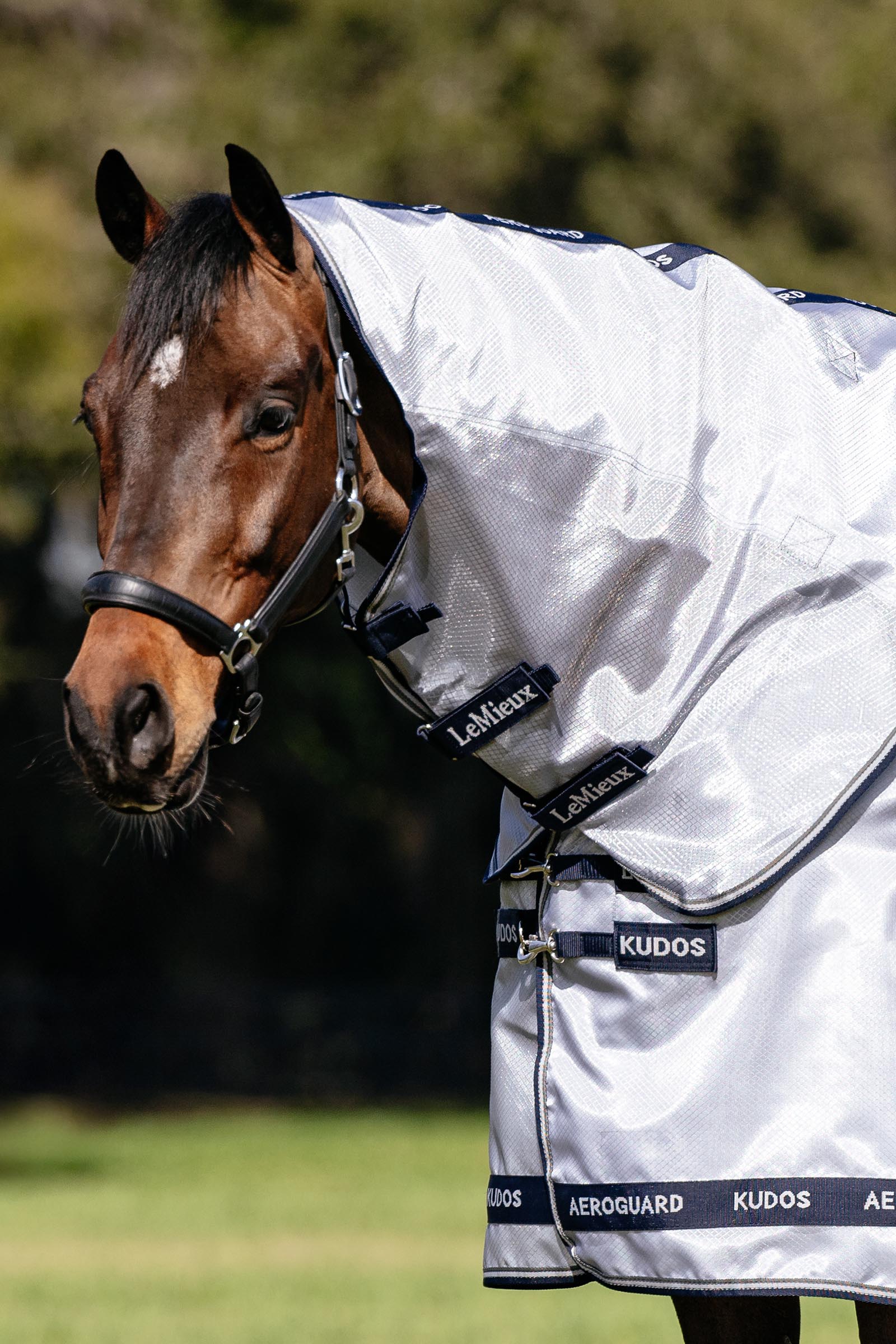 LeMieux Kudos AeroGuard Fliegendecke mit abnehmbarem Halsteil