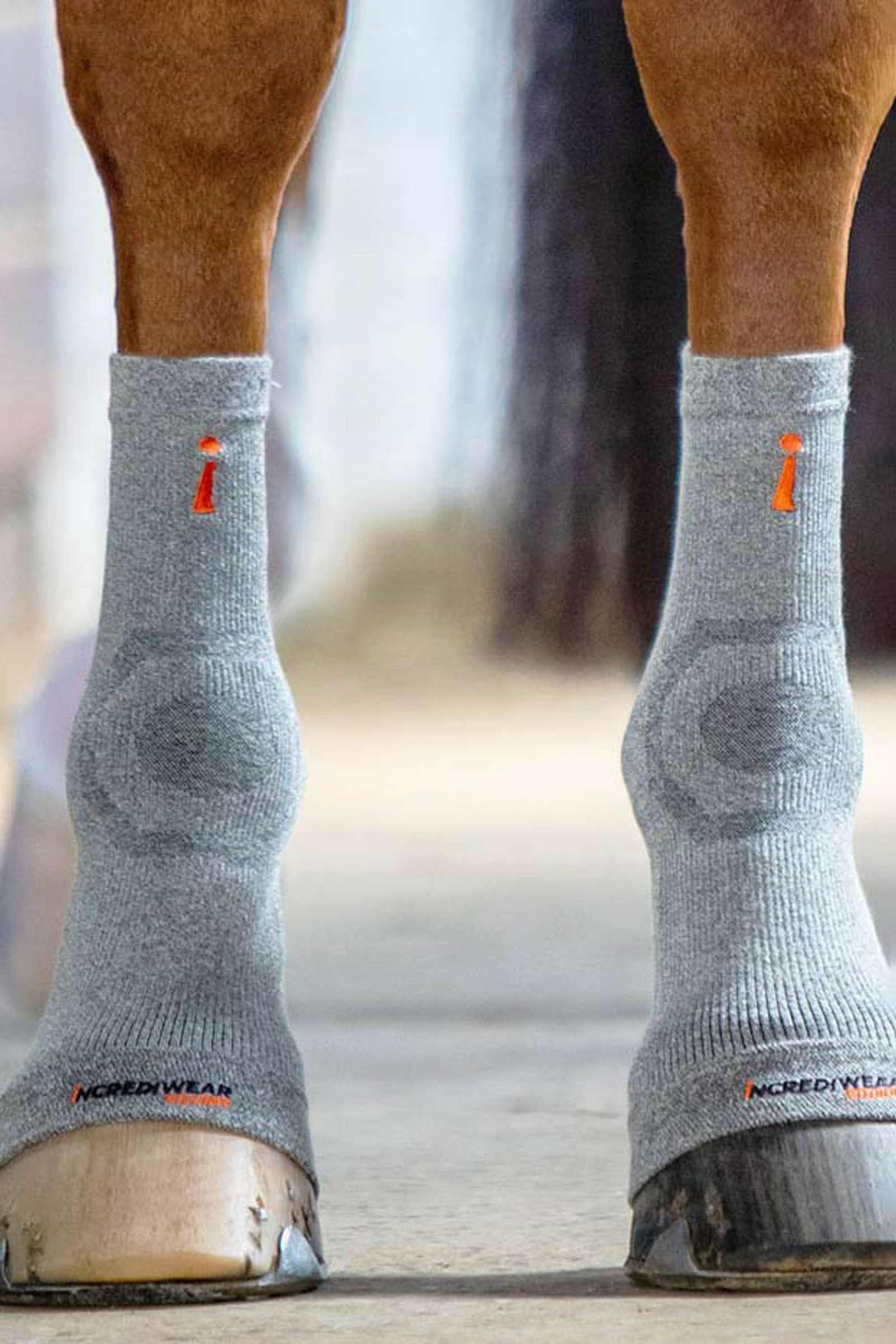 Incrediwear Circulation Hoof Socks